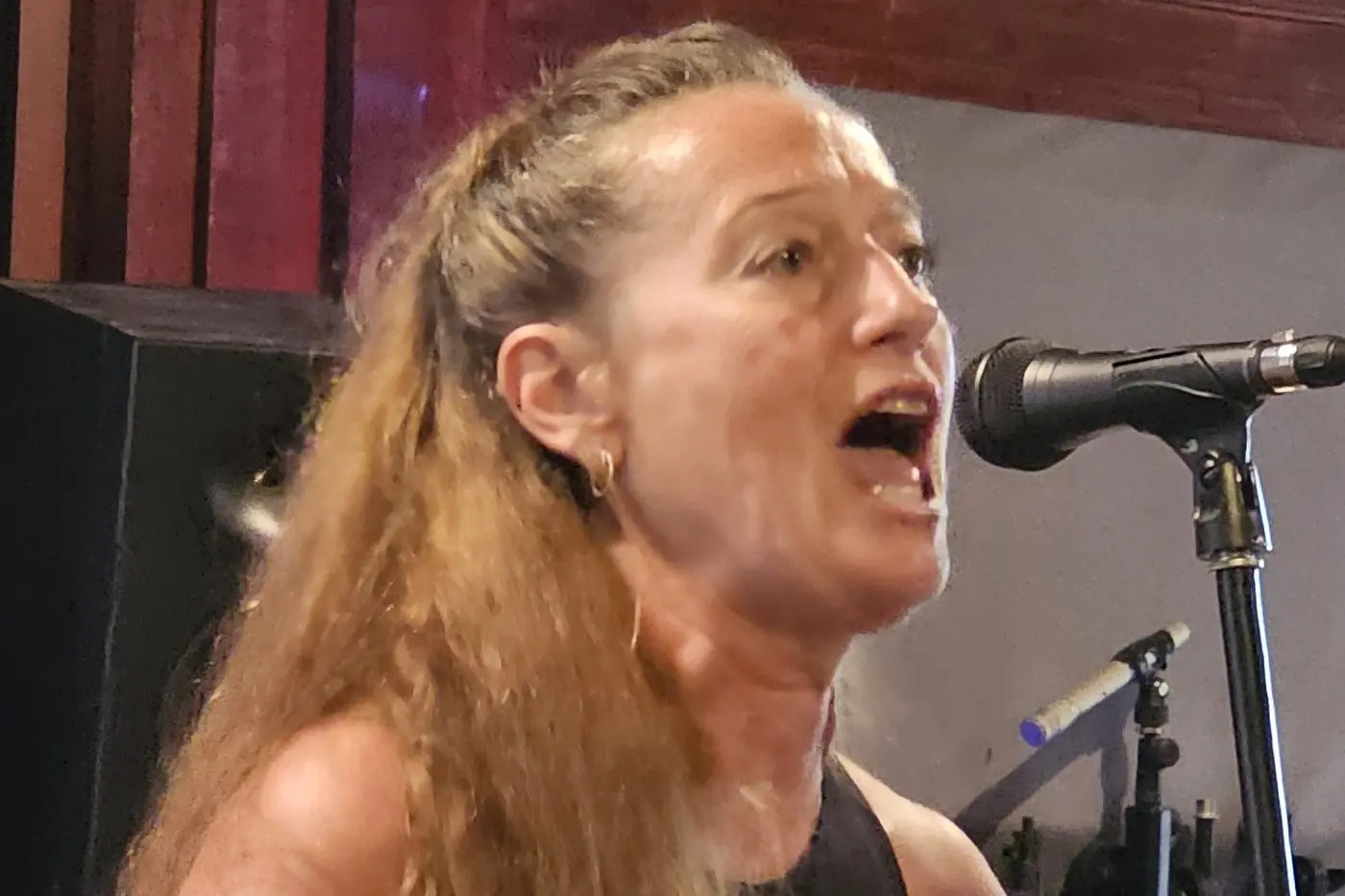 NEW BLOOD: Cindy Cawthorn has joined the Hip Replacements as lead vocallist. PHOTOS: Karen Forman.