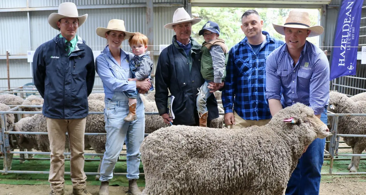 High quality Hazeldean Merinos set industry trends