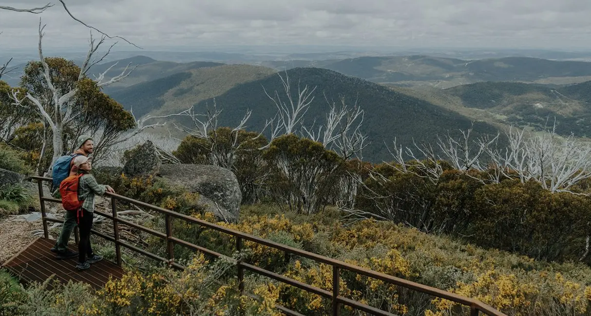 Essential tips for navigating alpine terrain