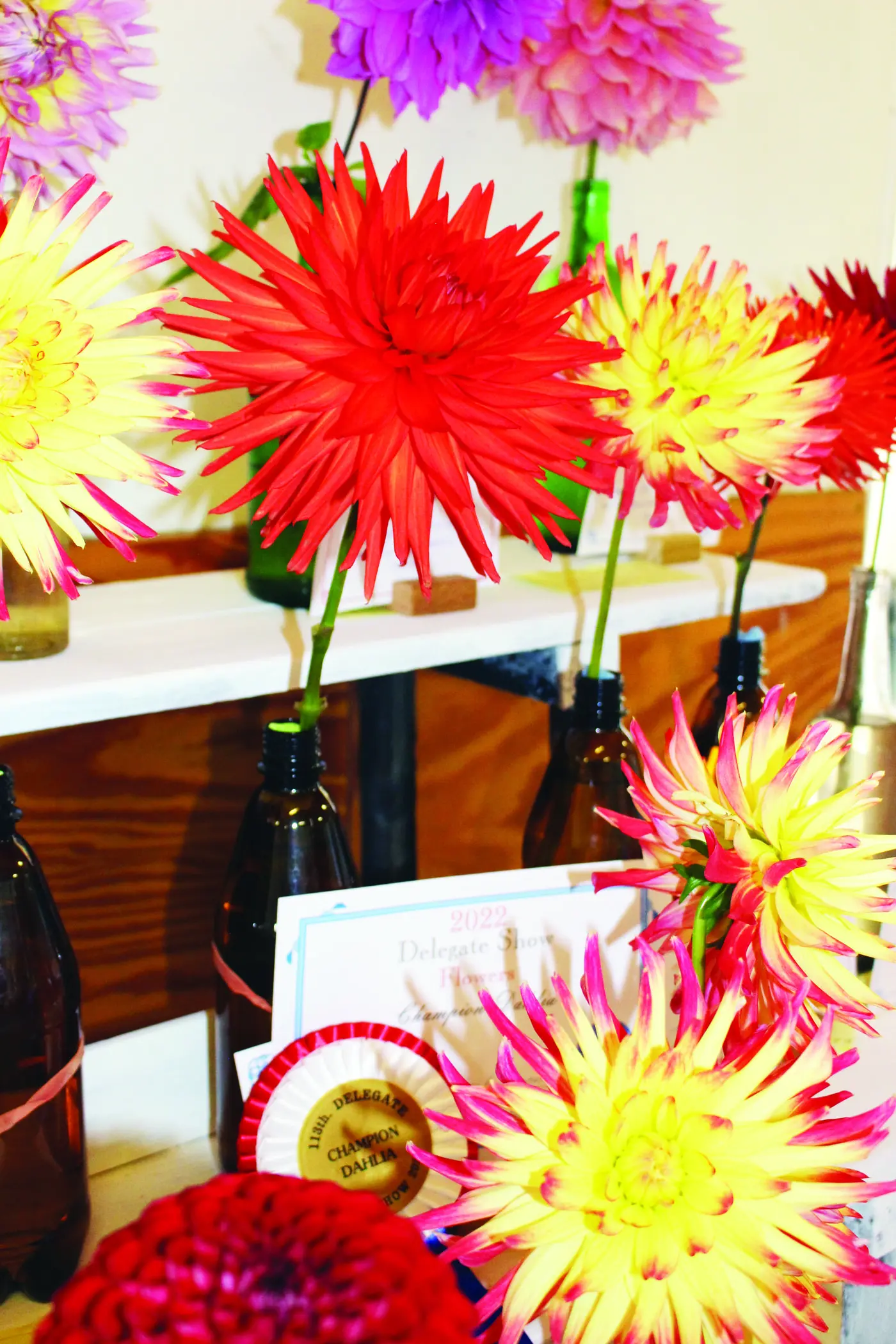 EXHIBITS: The Delegate Show pavilion showcases the best of the district\\'s flowers, produce, creative talents, wool and much more. PHOTOS: Monaro Media Group