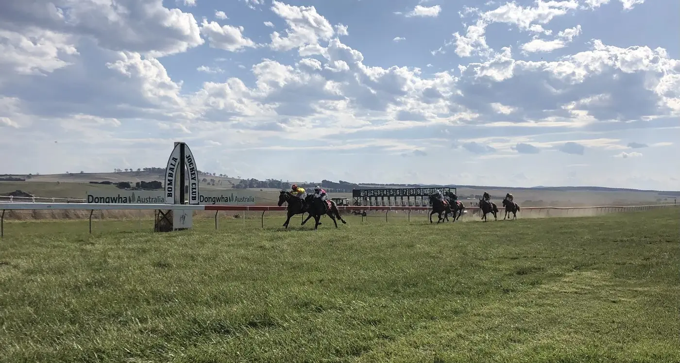 Bombala Races, a great day out