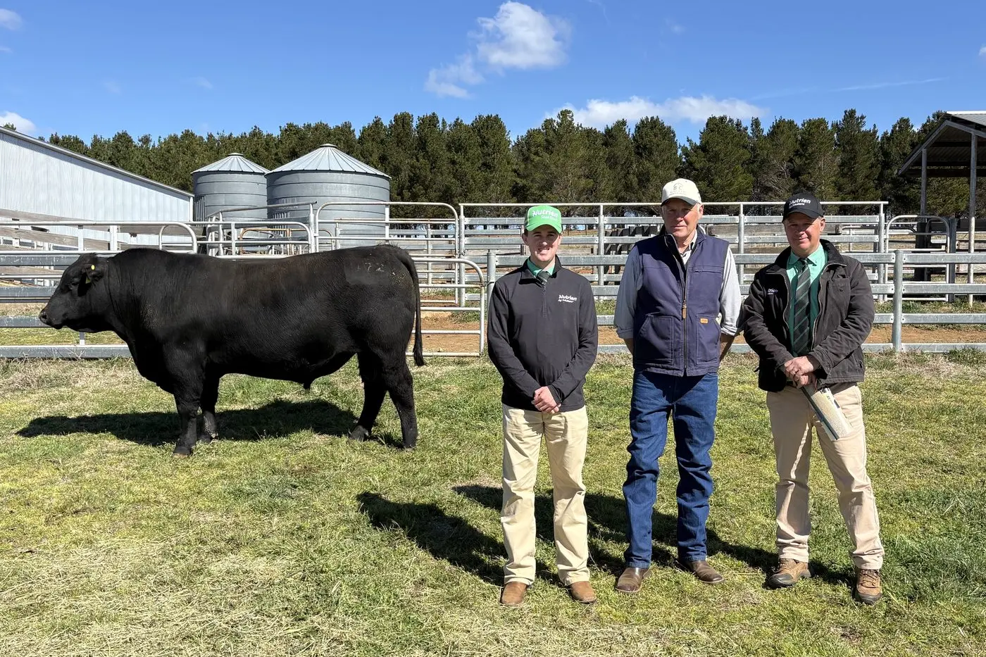 SPRING SALE: Rosskin Angus Stud co-principal, Martin Walters, is pleased with the top selling bull fetching $18,000. He is joined by Nutrien Stud Stock auctioneer, Matt Campion and Nutrien Ag Solutions Cooma selling agent, Gary Evans. PHOTO: Damien Roach, Nutrien Ag Solutions