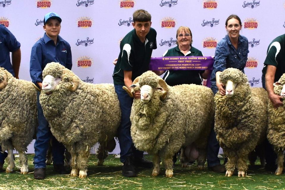 Ssvc Sheep Sheep section showcases district's best