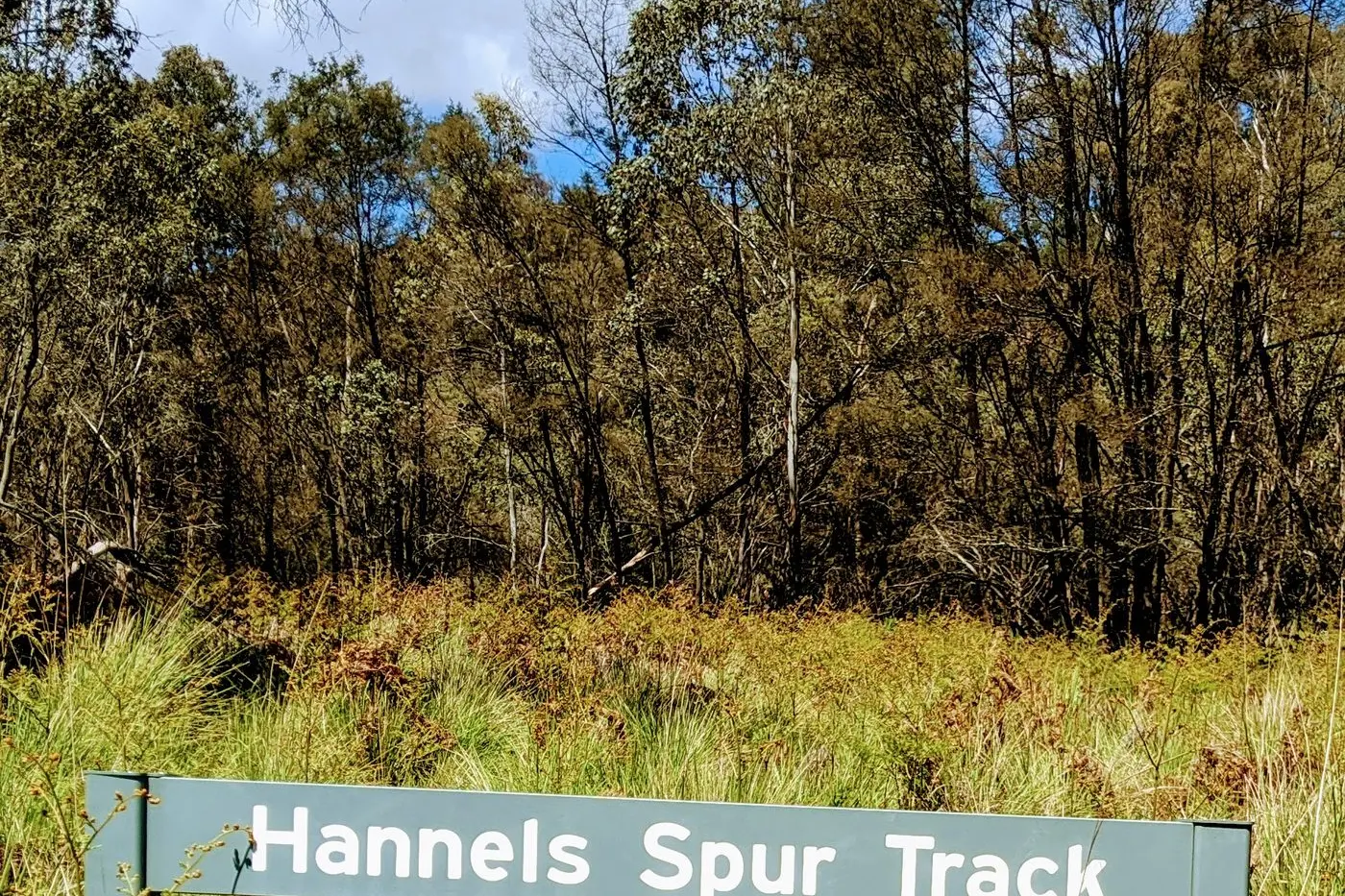 SEARCH: A Victorian hiker is still missing in the Kosciuszko National Park, almost a fortnight after starting on the Hannels Spur track near Geehi Flat campground. PHOTO: Karen Forman