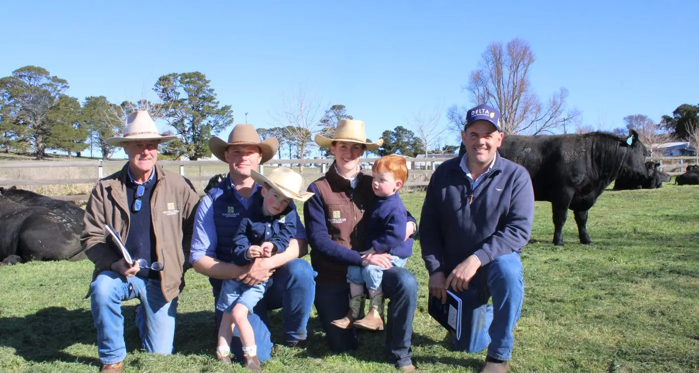 Hazeldean bull sale tops $34,000