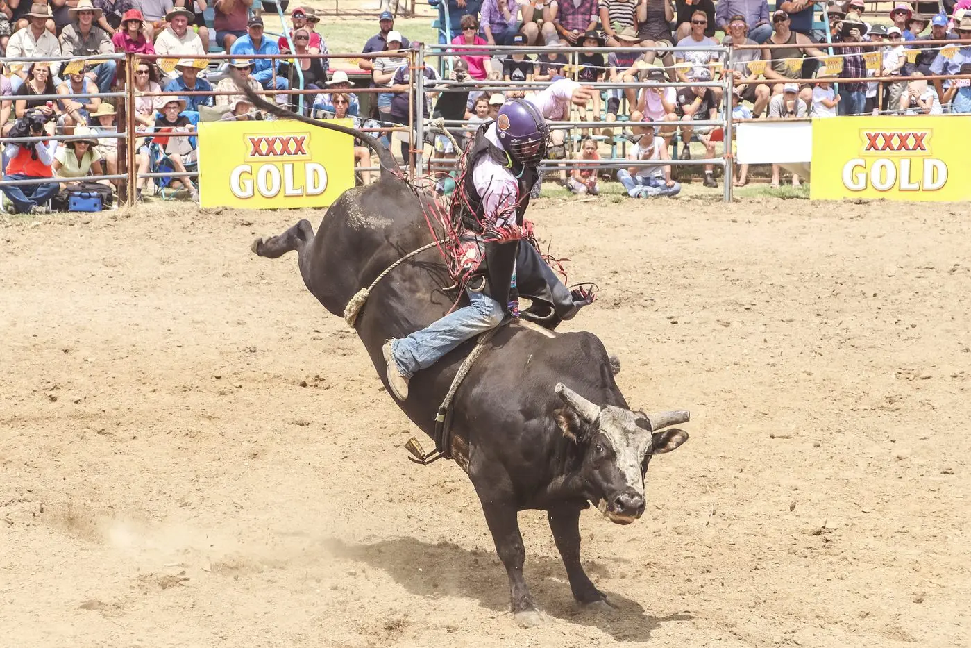 Record rodeo entries