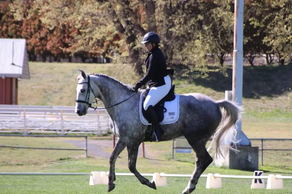 DRESSAGE: Shannon Plowright on Ballymount Eve compete in the latest Monaro Equestrian Association event. PHOTO: Monaro Equestrian Association