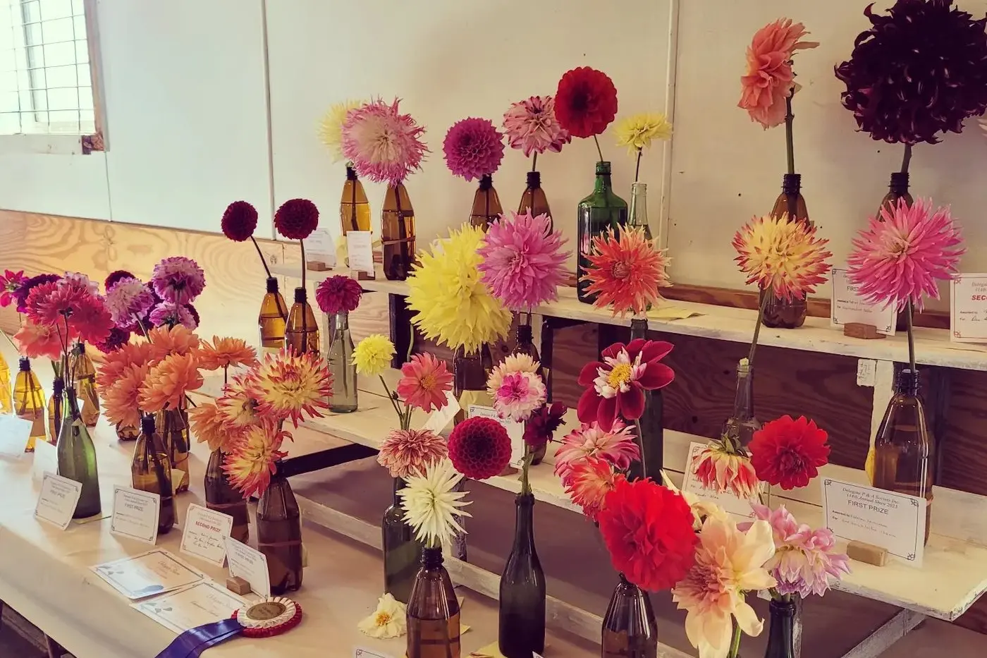 STUNNING: The floral section of the Delegate Show displays the best of the district\\'s flowers and allows gardeners to showcase their talents. PHOTO: Monaro Media Group