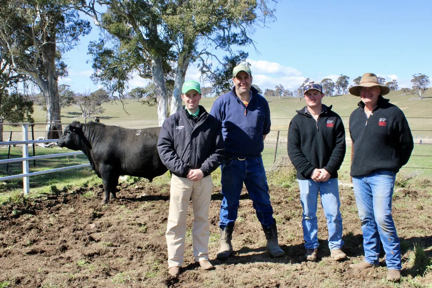 TOP PRICE: Nutrien stud stock agent, Matt Campion, left, with top-priced bull purchaser, John Jervois, from Tumbarumba, and Kunuma Angus stud principals, Mitch and Dean Lynch. PHOTOS: Melinda Cairns Hack