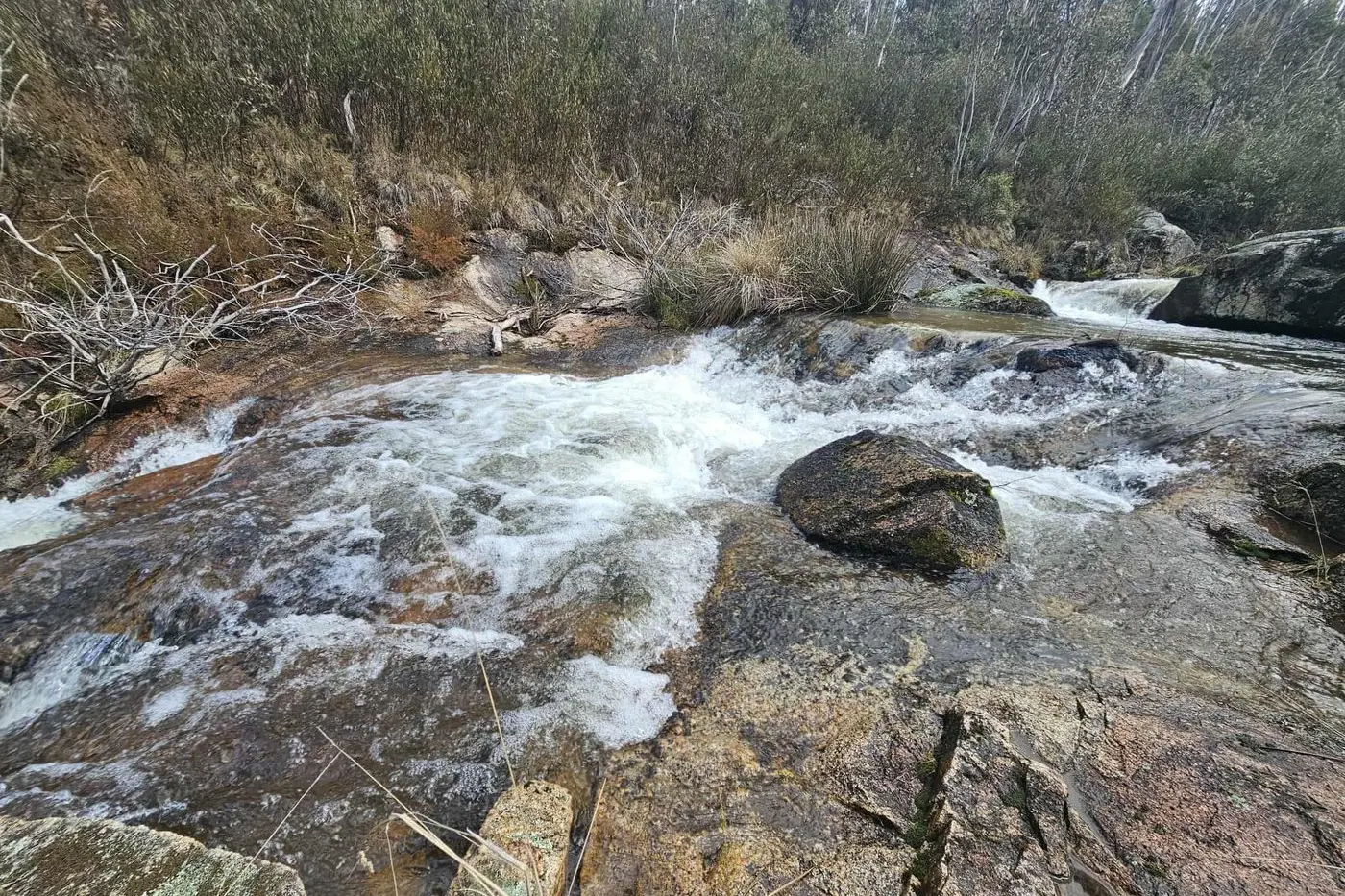 Gang Gang Creek by Pete Wilson of Australian High Country Photography.