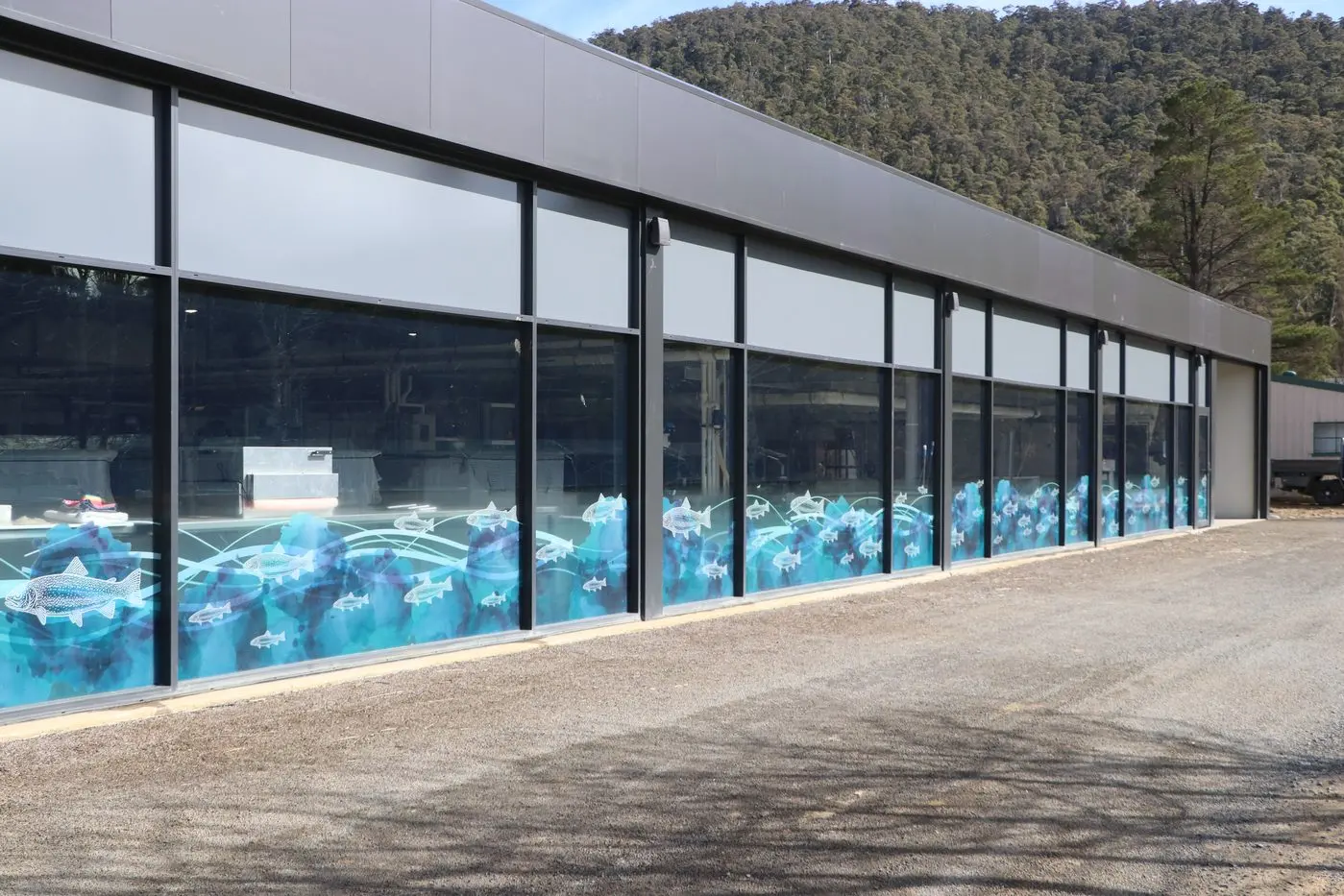 FISHING: Monaro Acclimatisation Society look towards an integrated freshwater sports fishery that recognises the importance of trout, the potential of native fish, and protects fish that are endangered. PHOTO: Trista Heath