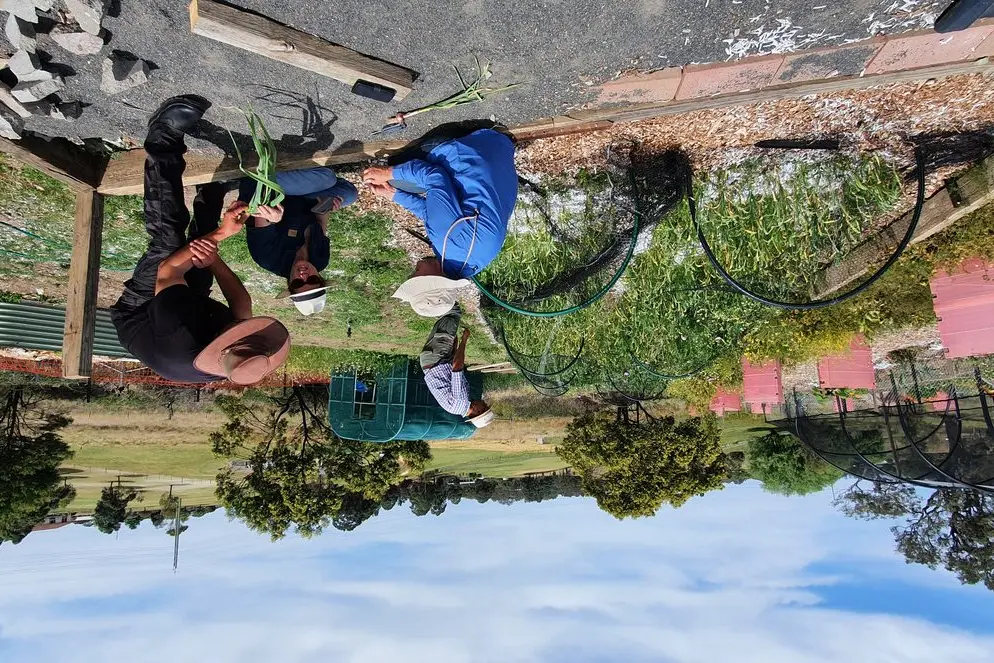 LEARNING: Vele Civijovski of Garlic Kingdom runs a popular garlic planting education program. PHOTOS: Garlic Kingdom 