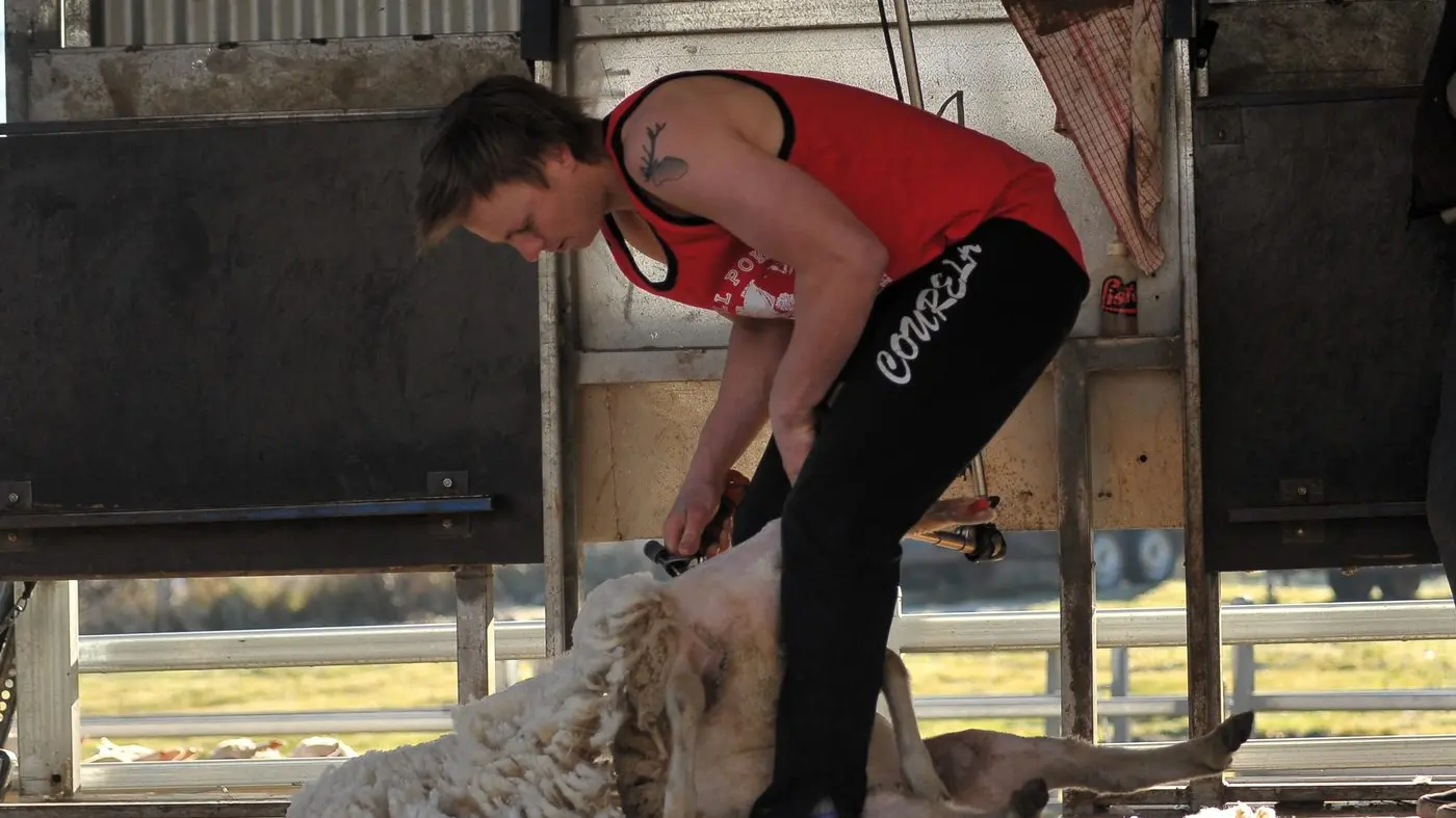 Fundraiser honours shearer