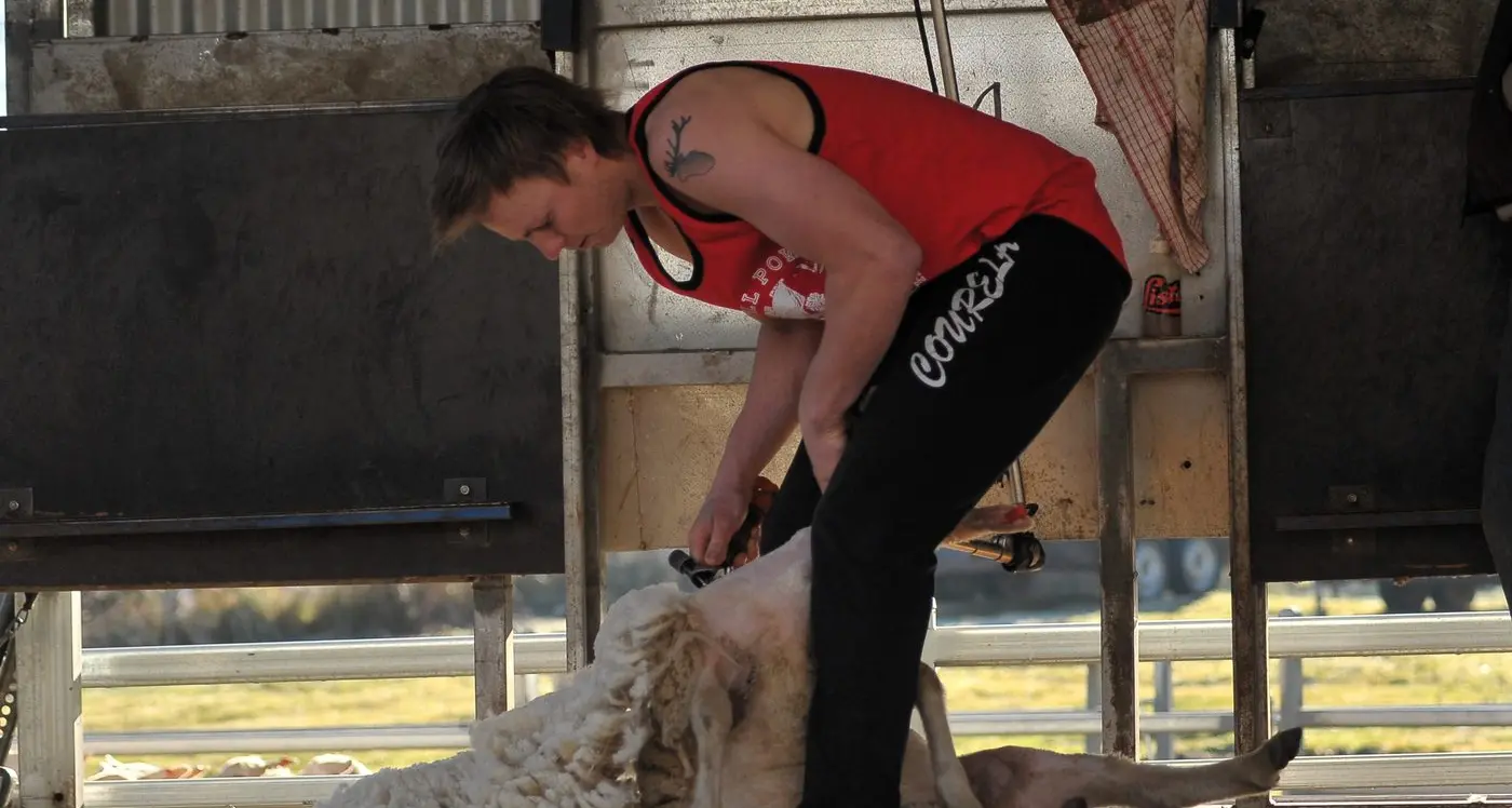 Fundraiser honours shearer