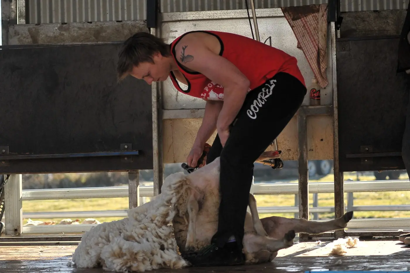 Fundraiser honours shearer