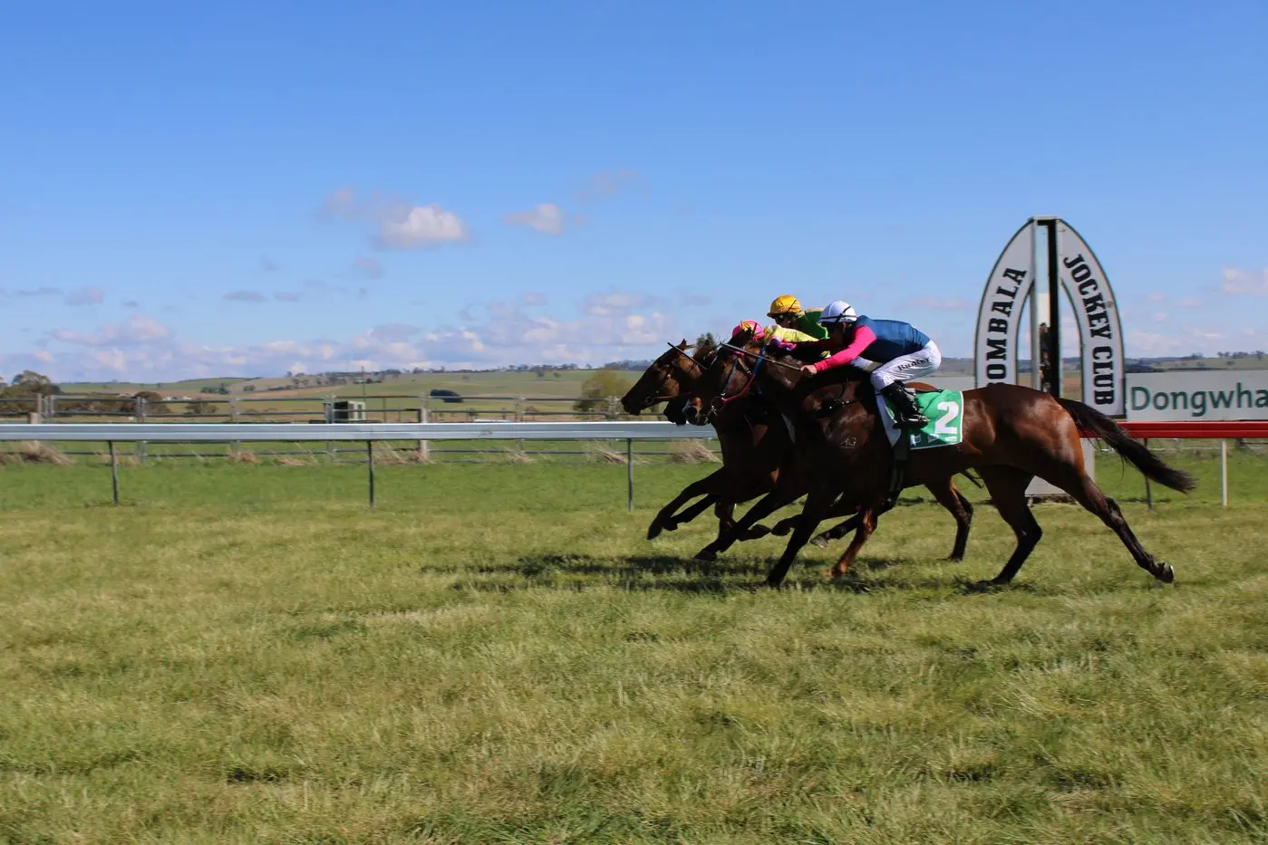 RECAP: Look Only takes the 2024 Bombala Cup from Sharper ahead of Delightful Dream. PHOTOS: File