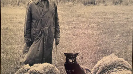 Cecil Brown Scholarship re-launched