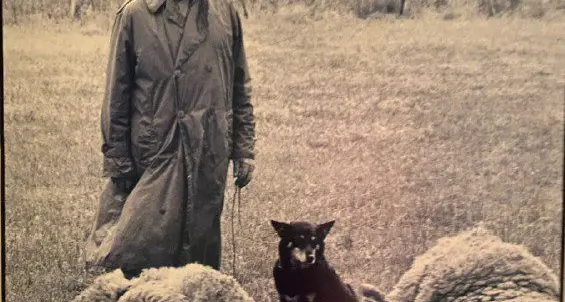 Cecil Brown Scholarship re-launched