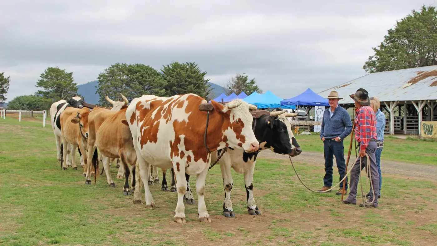 Attractions galore for show
