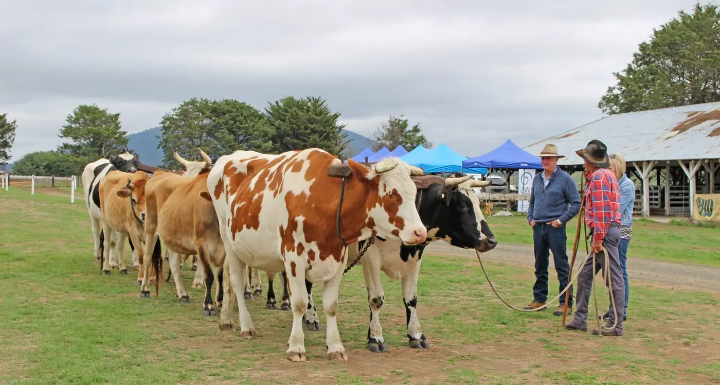 Attractions galore for show