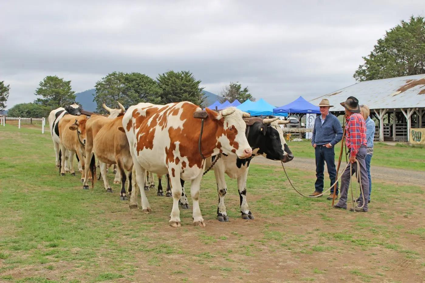 Attractions galore for show