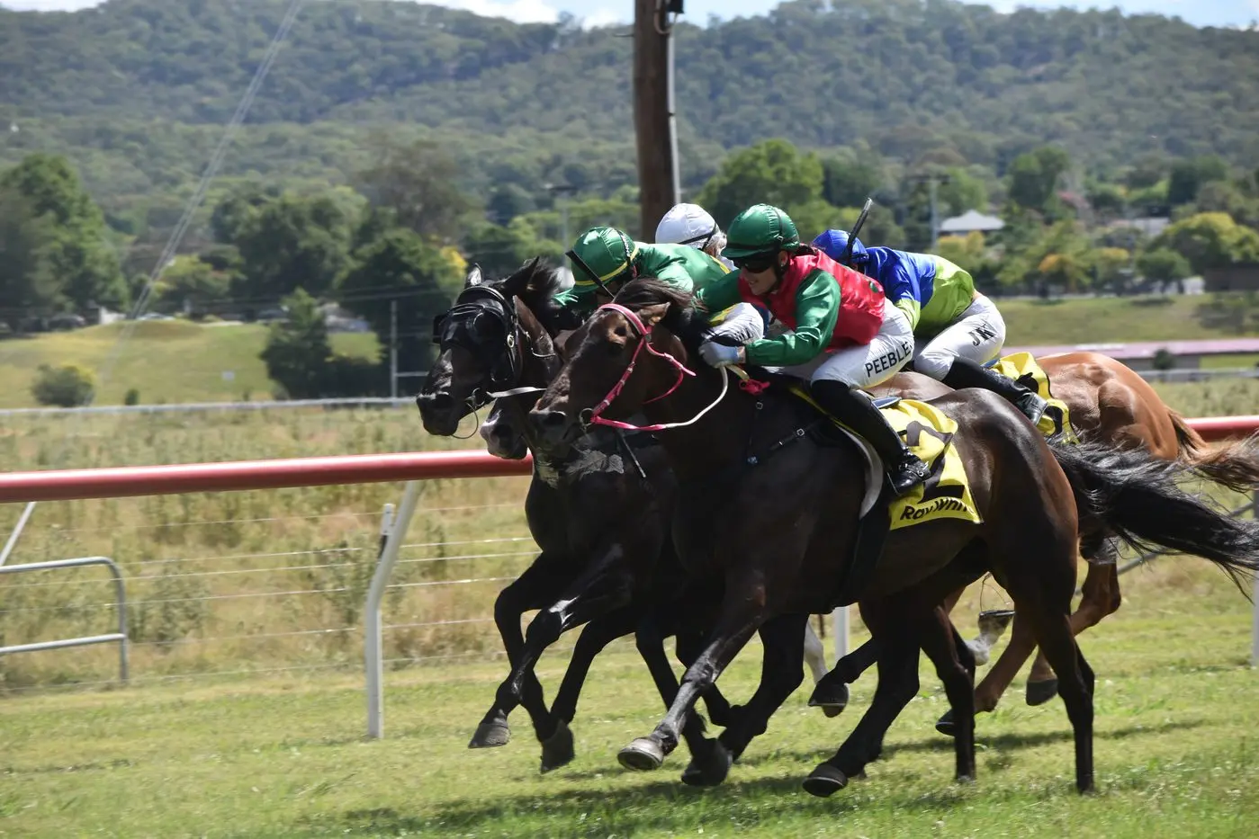 SUCCESS: Gwennybegg wins her fifth race in just six starts at Tumut on Saturday. The mare is trained by Jindabyne\\'s Georgie Boucher. PHOTO: Josh Gidney, Tumut and Adelong Times
