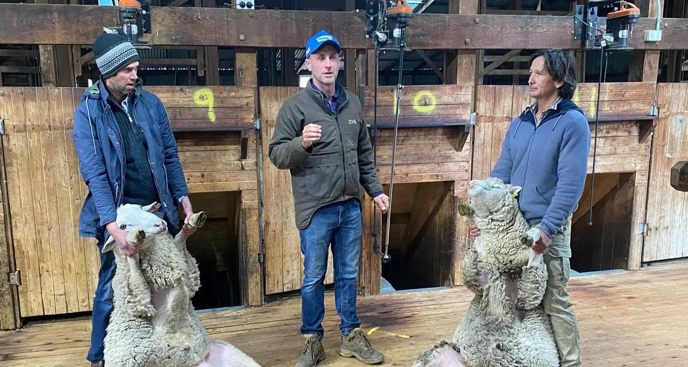 MFS field day provides helpful advice