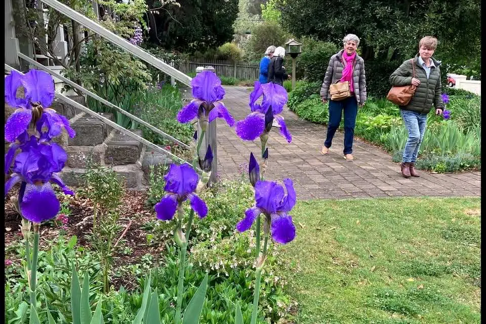 <p>LOVELY: The Cooma Spring Open Gardens fundraiser drew about 70 people who wandered through four open gardens, including the heritage garden at the Raglan Gallery. PHOTOS: Wendy McDougall</p>\\n