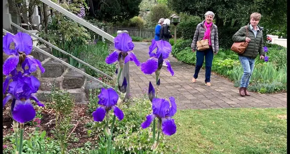 Cooma garden fundraiser supports RFS