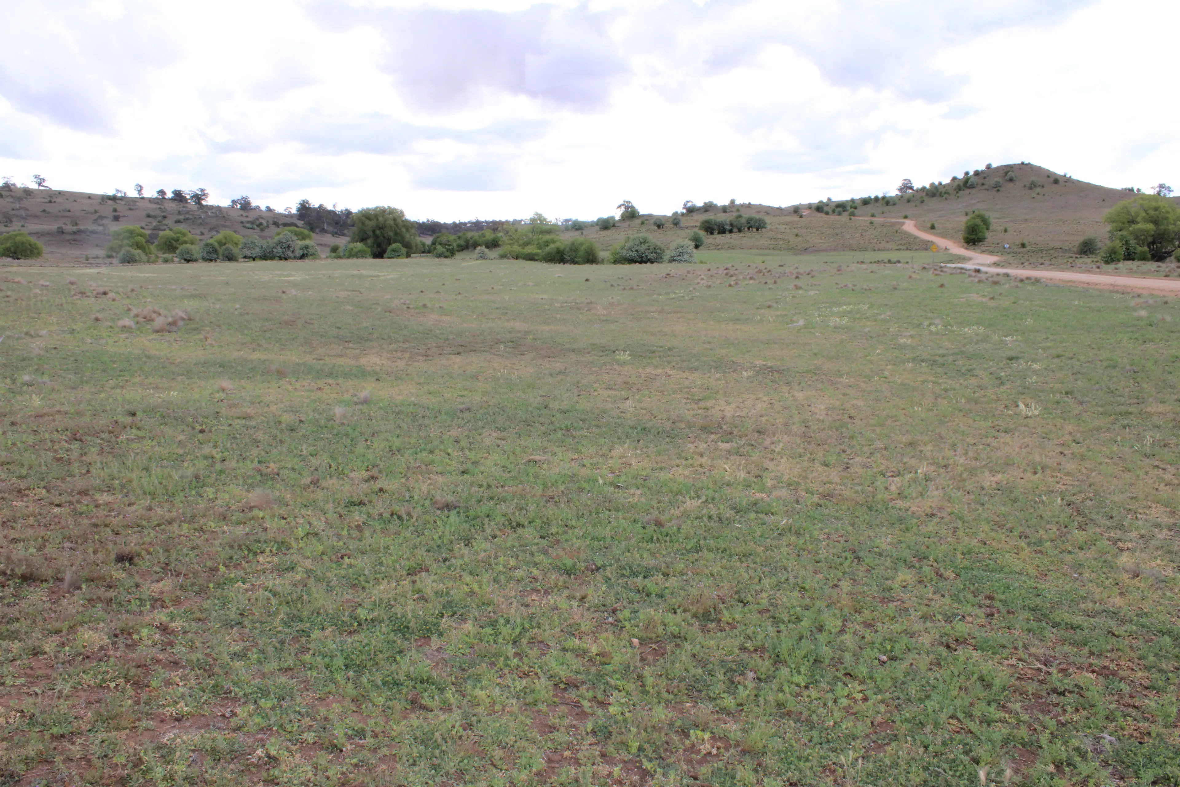 <p>WEEDS: \\u2018Caringa\\u2019, on Tom Groggin Road has vastly improved after the landholder mass sprayed using a helicopter and volunteers spot sprayed African Lovegrass last year. PHOTOS: Melinda Cairns Hack</p>\\n