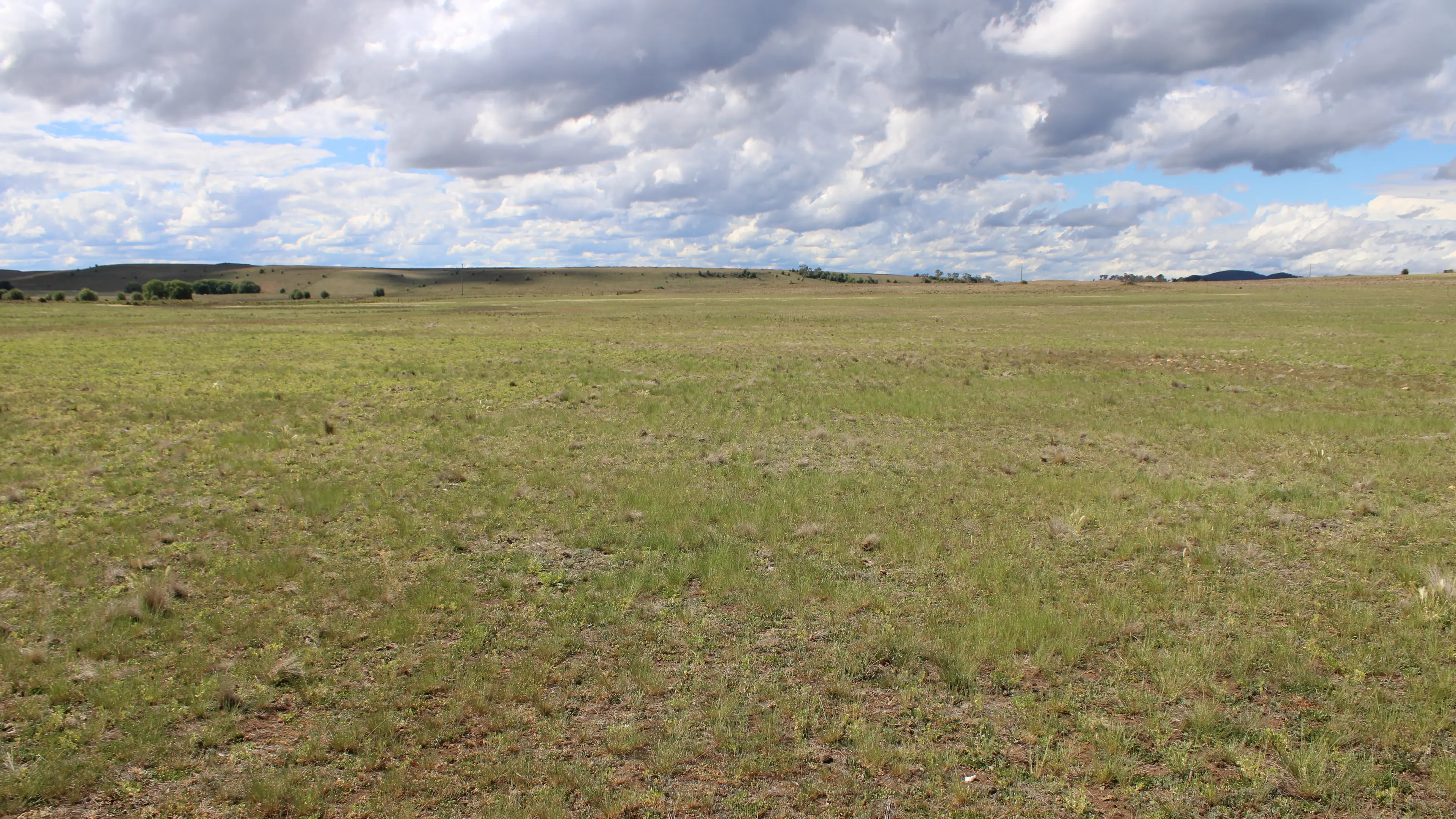 Improving Monaro pastures