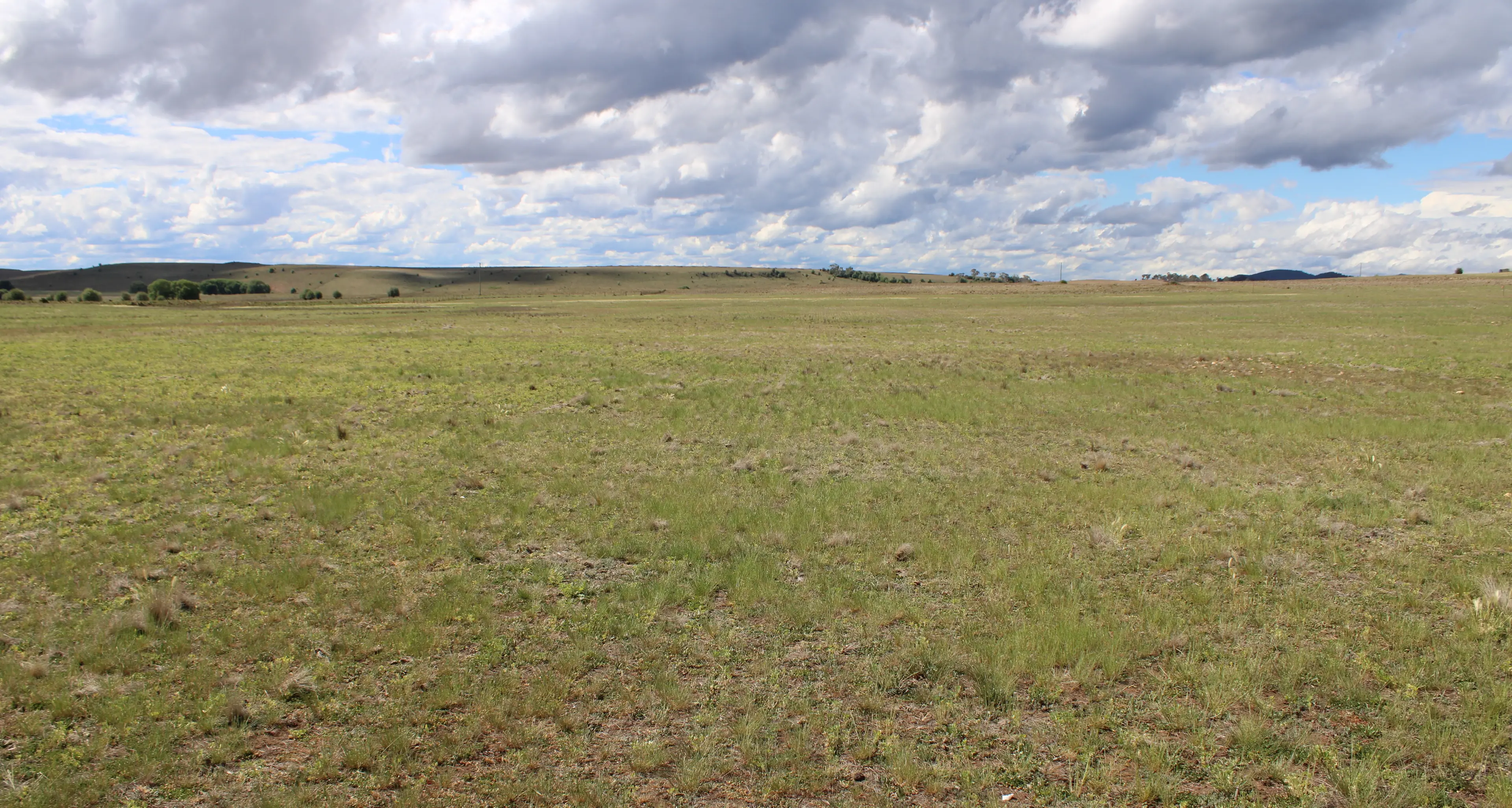 Improving Monaro pastures