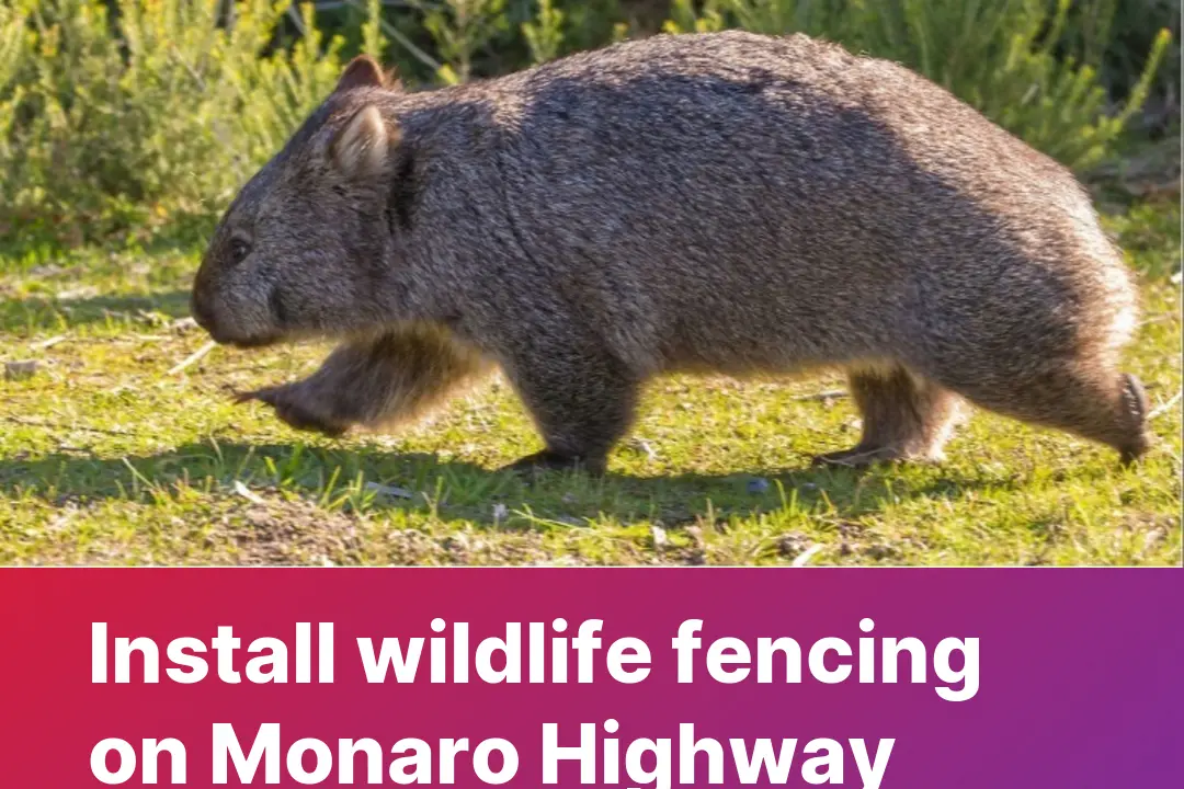 <p>FINAL COUNT: There were at least 208 collisions this ski season alone. A petition to make the Monaro Highway safer for both wildlife and motorists is available to sign. PHOTO: Supplied</p>\\n