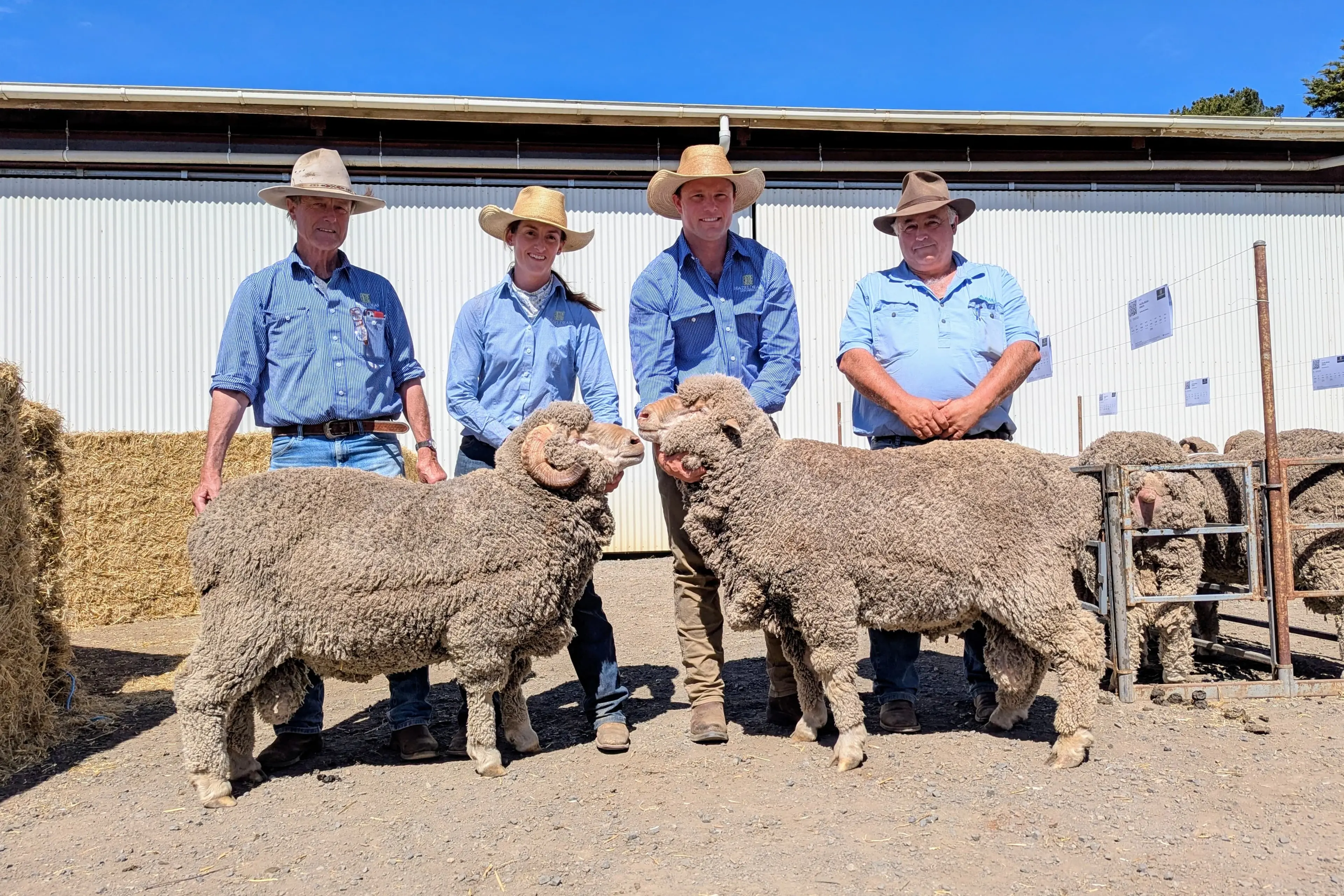 <p>SALE SEASON: Hazeldean led the region\\'s ram sale average with $3042. Pictured is the top priced ram purchased for $7000 by Scott Thrift AWN for a Western Australian client. Jim Litchfield, Bea Litchfield and Ed Bradley of Hazeldean congratulate Scott on the purchase. PHOTO: Supplied </p>\\n