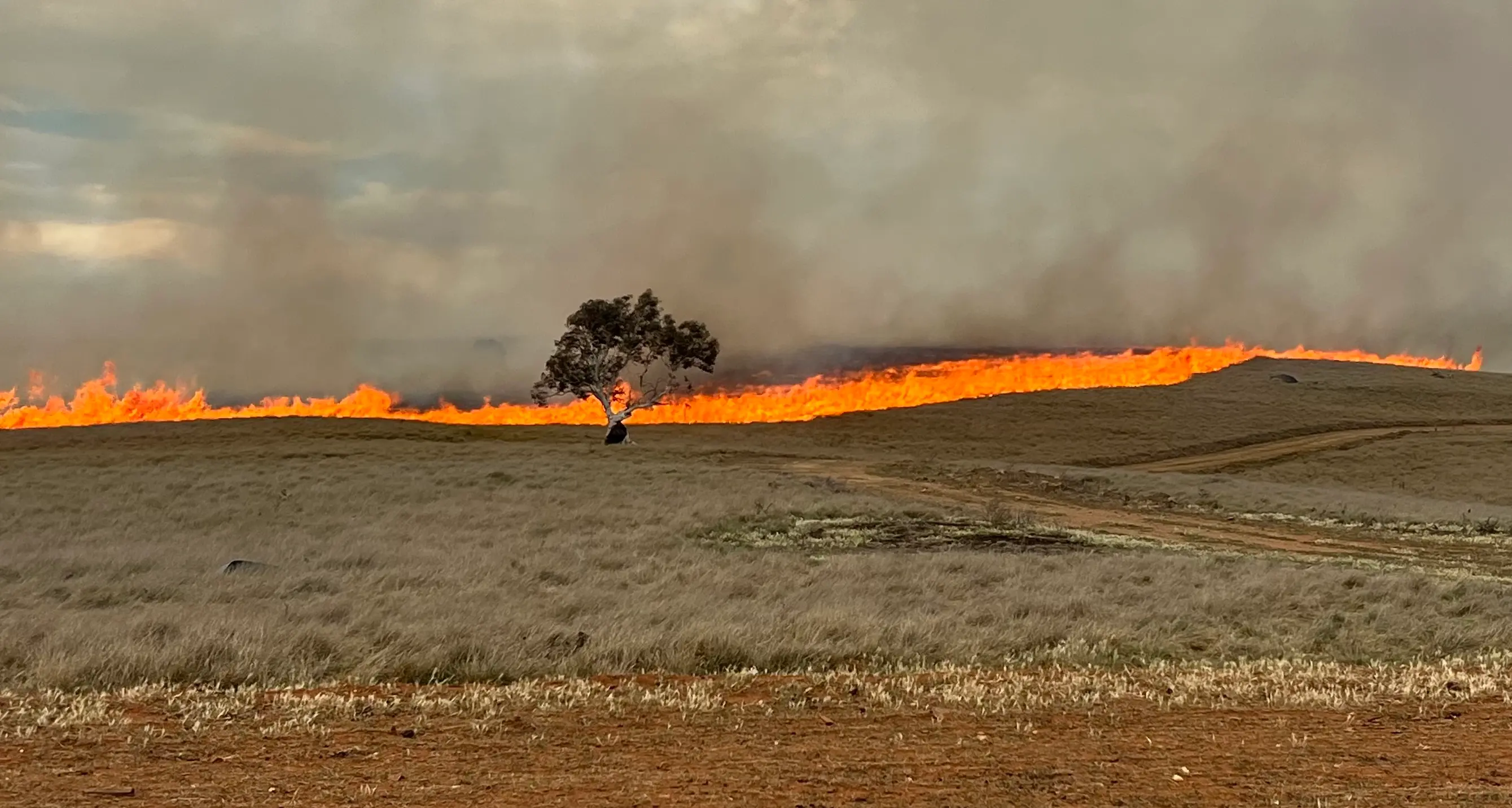 Man dies in Cooma crash, RFS battle grassfire
