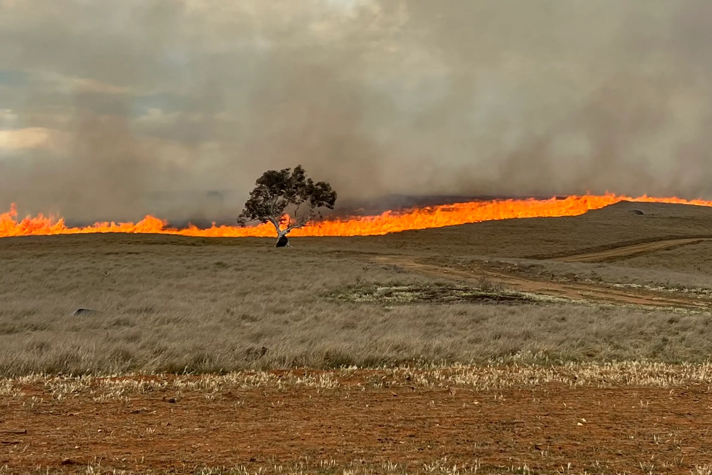 Man dies in Cooma crash, RFS battle grassfire