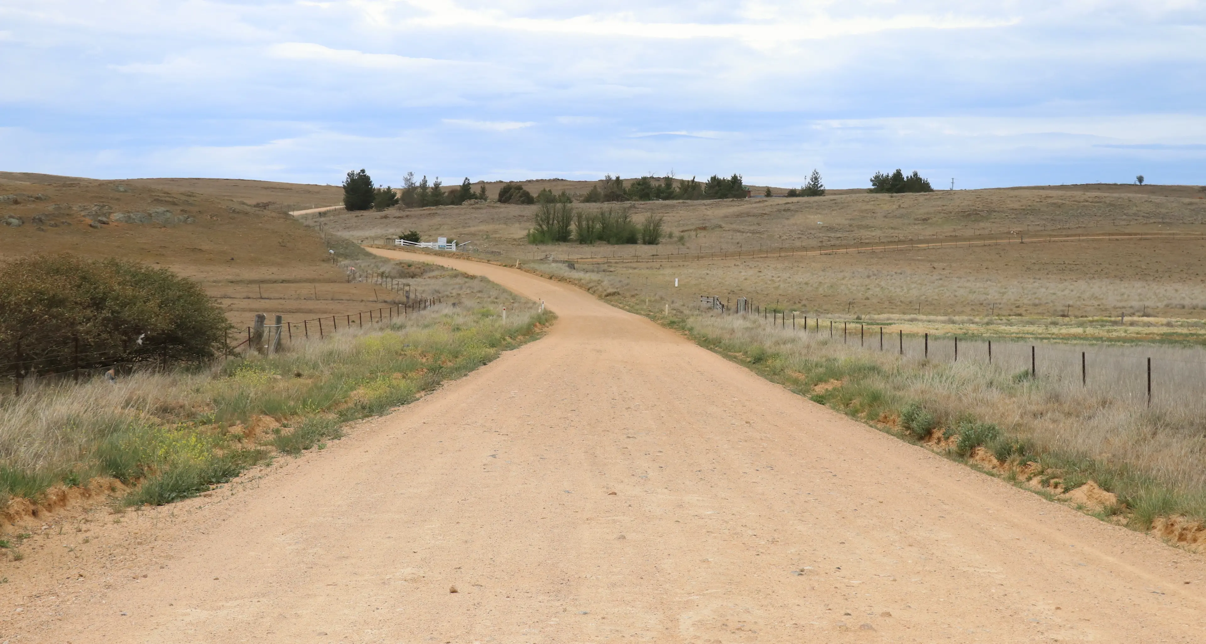 NSW country mayors oppose speed limit proposal
