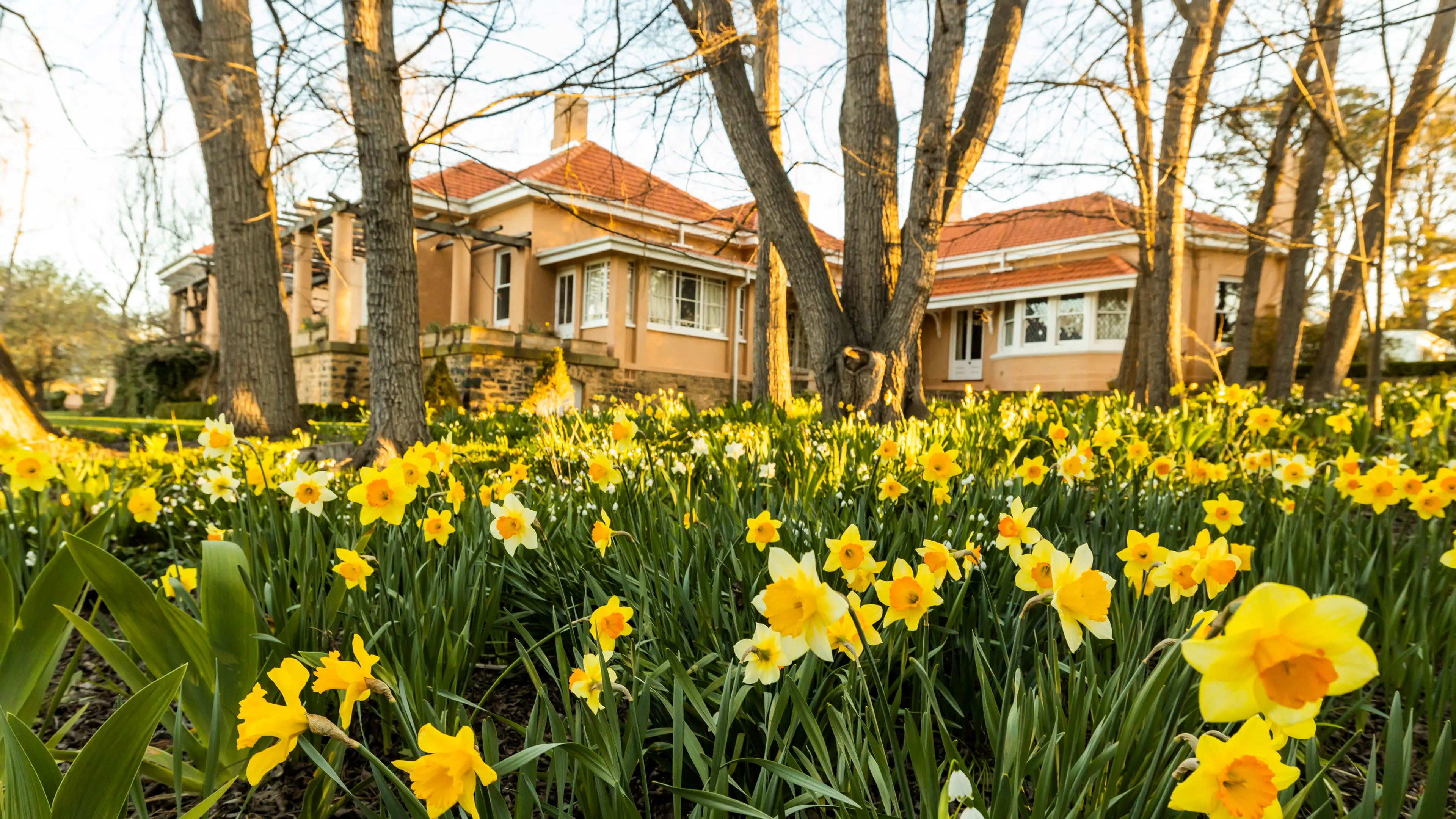 Monaro gardens are a must visit