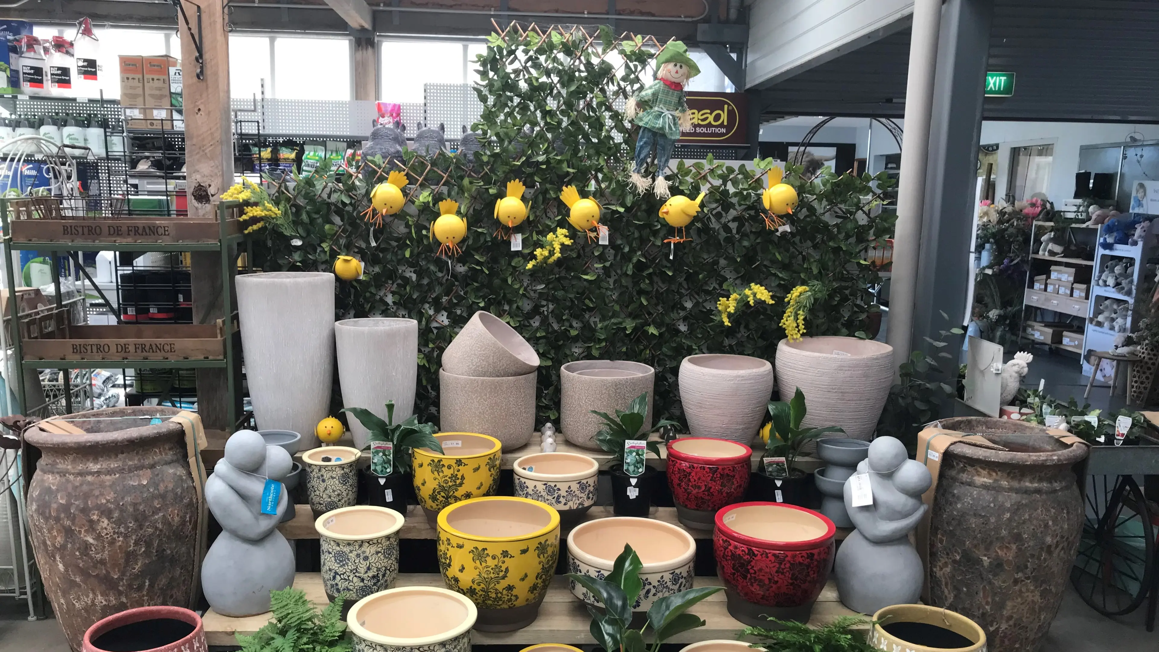 Spring into Jindabyne Mitre 10