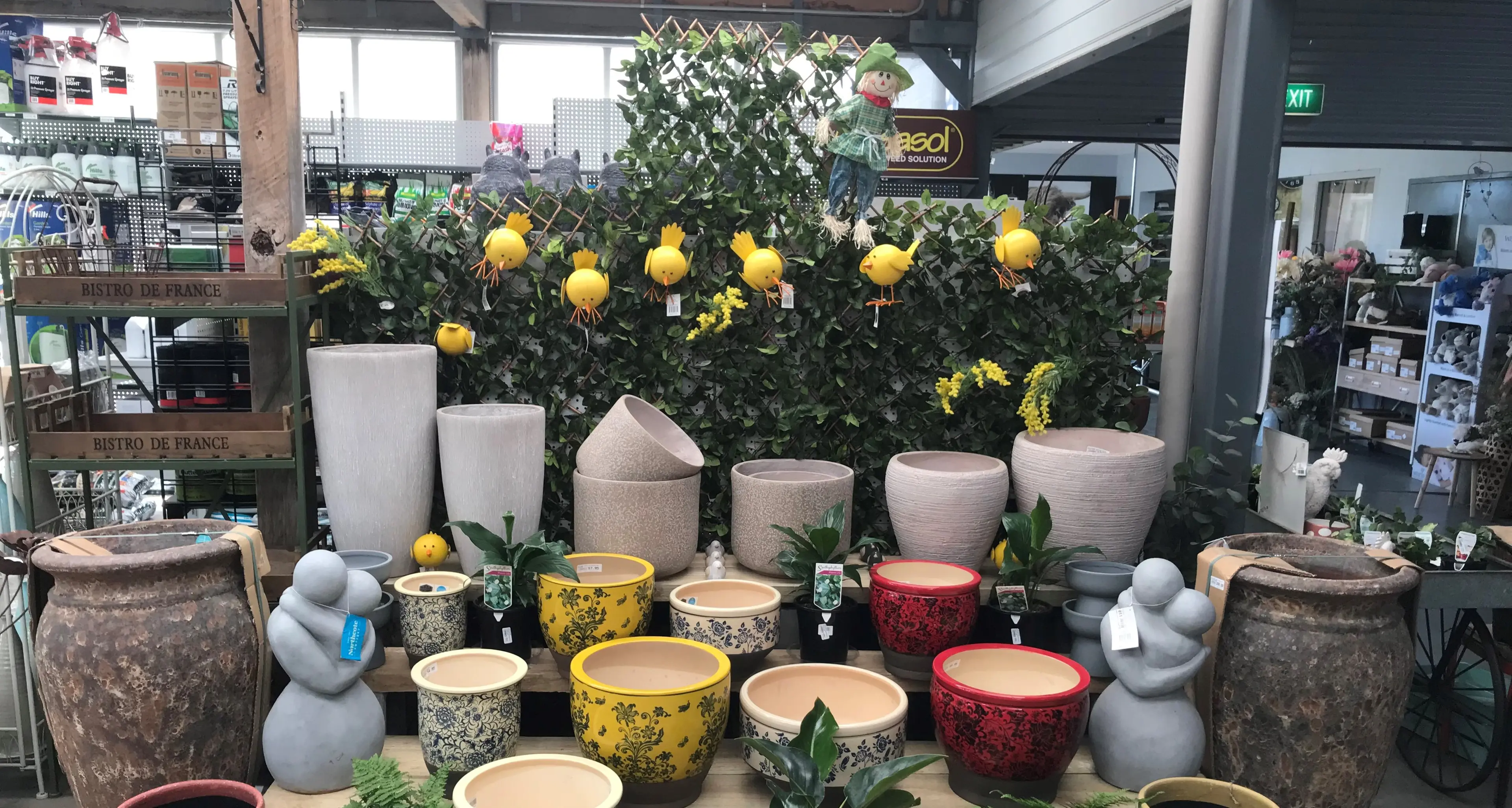 Spring into Jindabyne Mitre 10