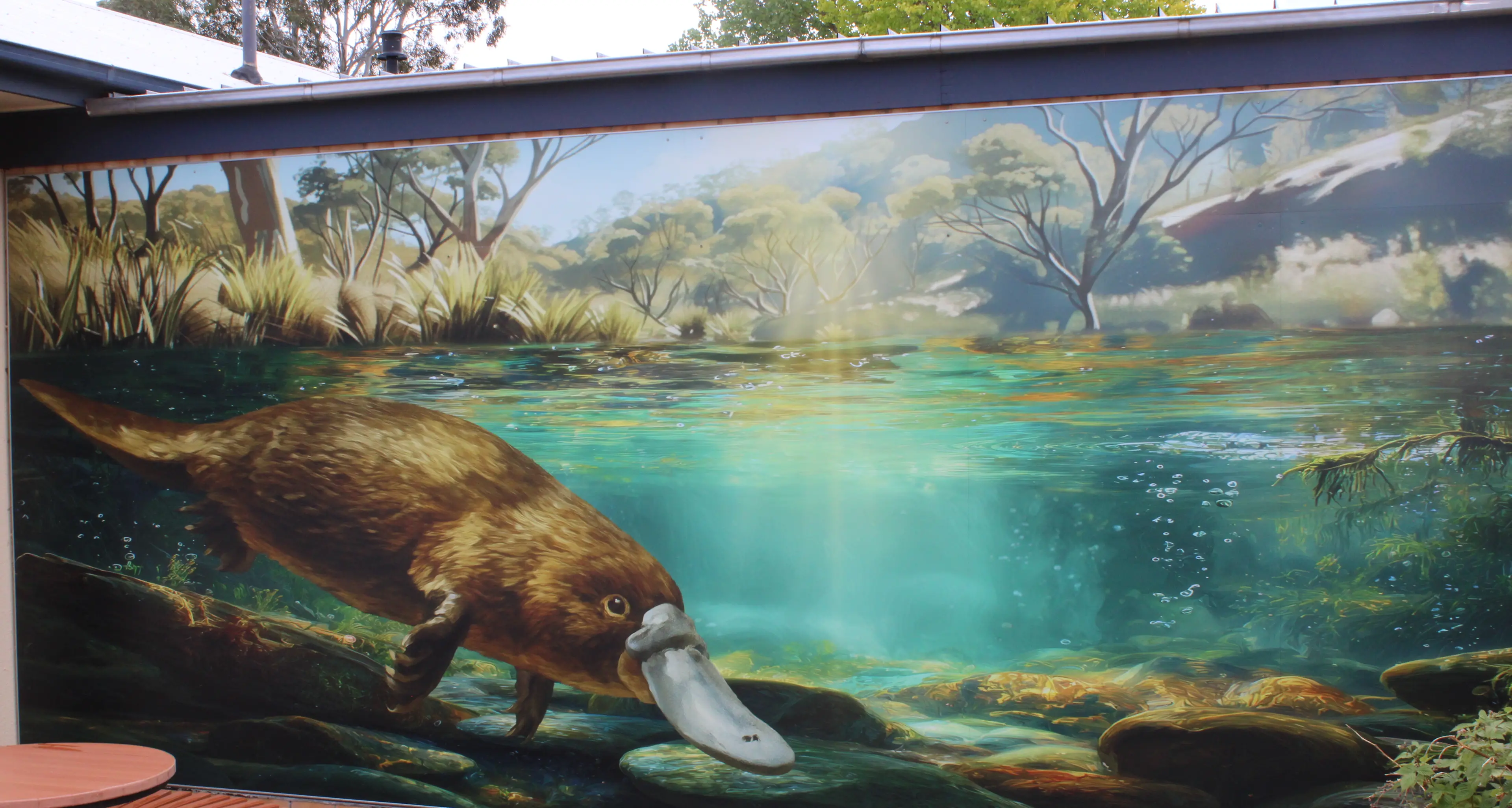 Bombala High School's new look