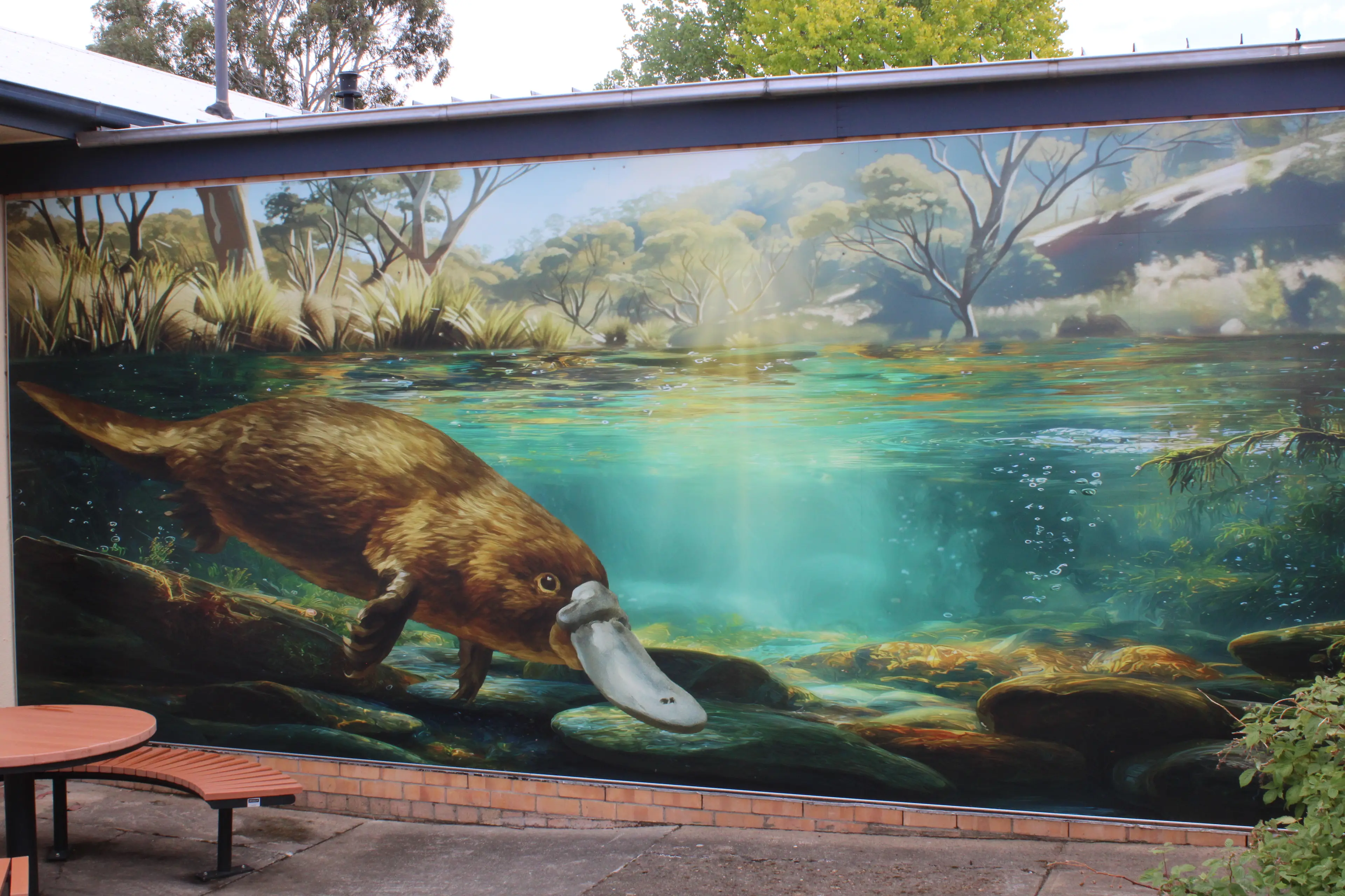 <p>RE-BRAND: The extensive artwork upgrade on walls feature images depicting the identity of the Bombala region. PHOTO: Melinda Cairns Hack</p>\\n