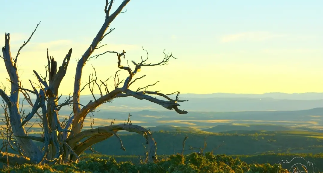 Residents urged to attend Coonerang wind farm meeting