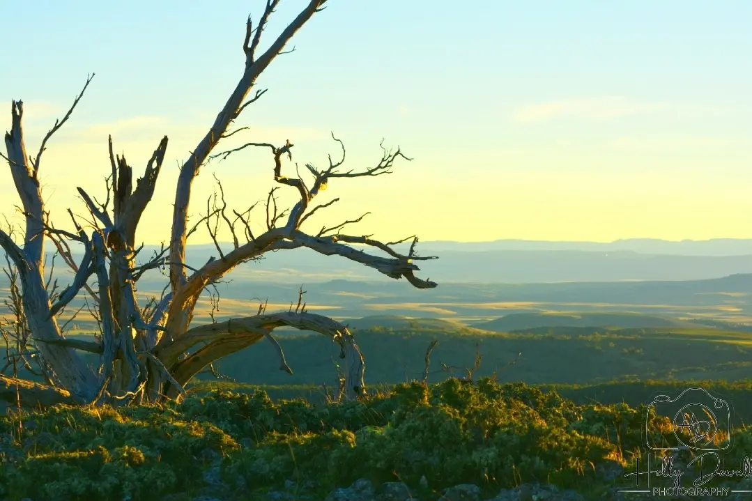 <p>MONARO: Residents and landholders will attend a meeting next week to view photomontages of the proposed wind turbines for Coonerang Wind Farm. PHOTO: Holly Dowell</p>\\n