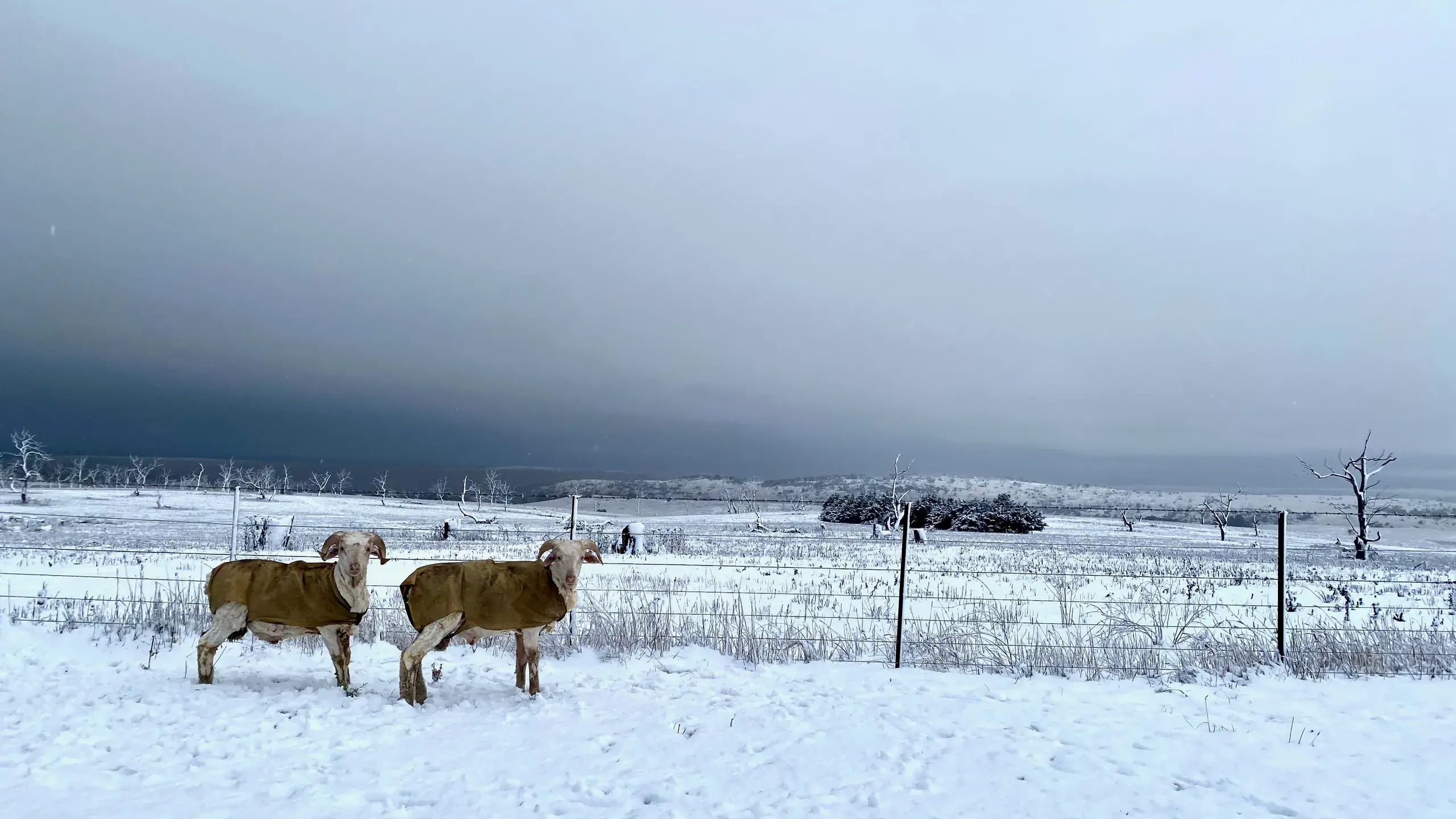 Monaro farming photographs a hit