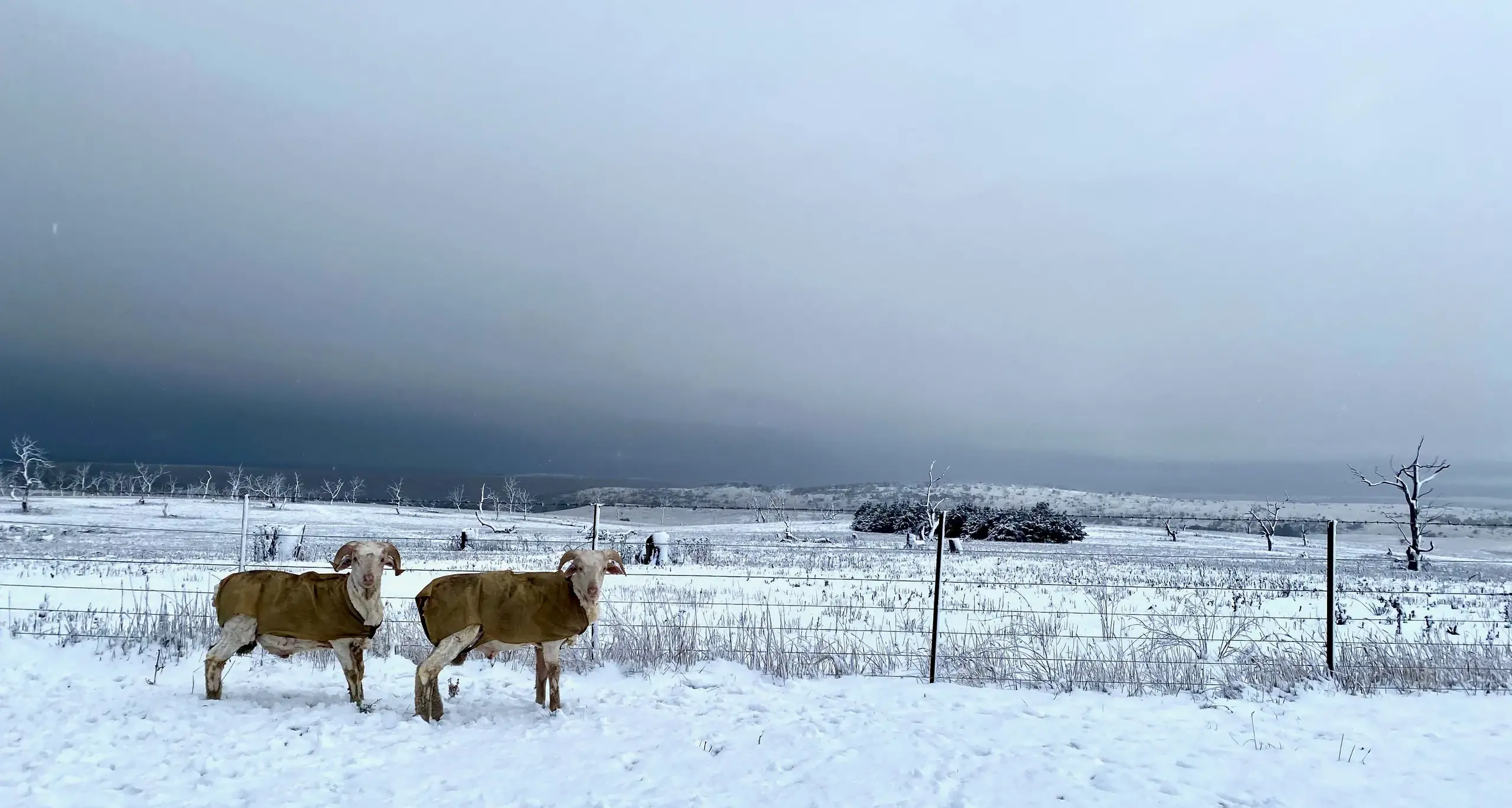 Monaro farming photographs a hit