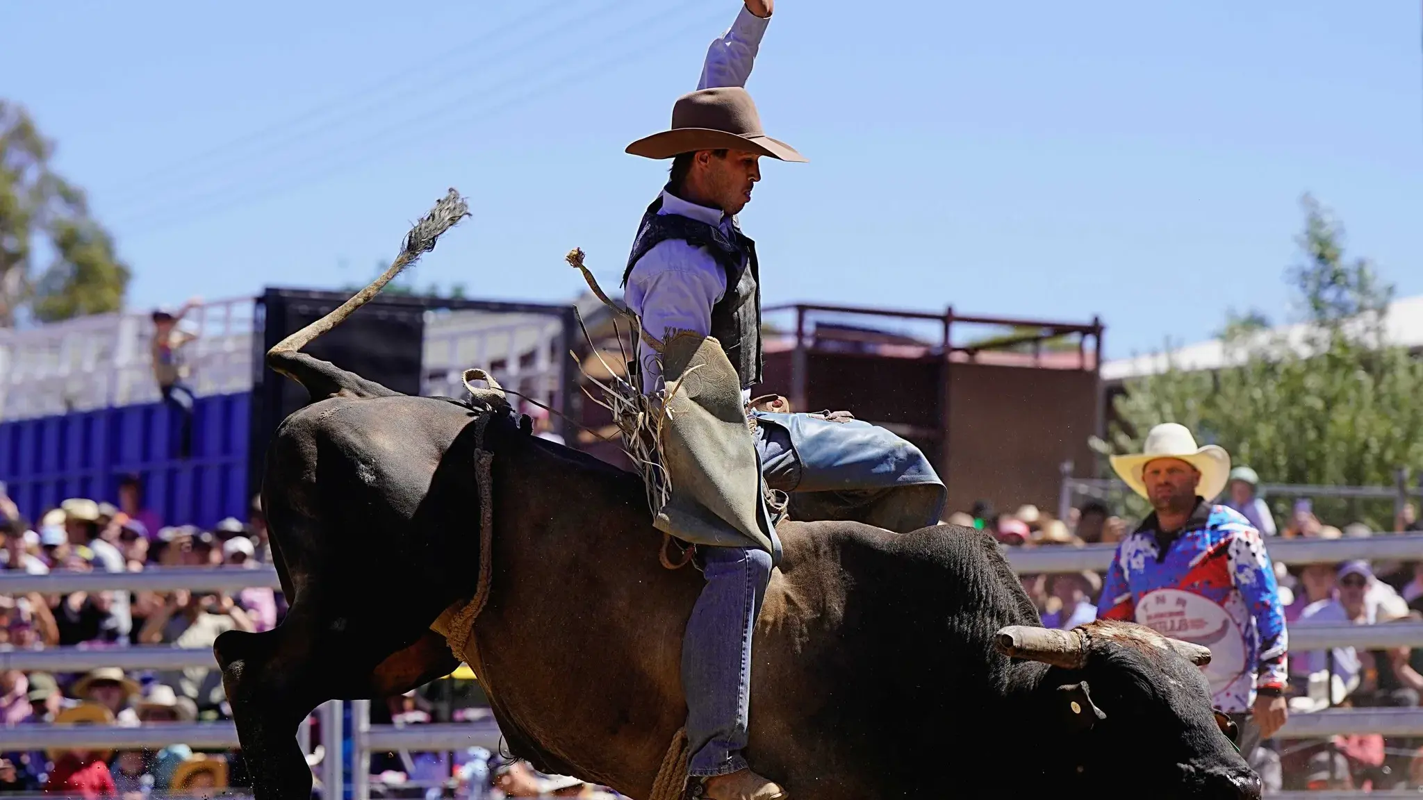 The 2025 Jindabyne Man from Snowy River Rodeo rides high on success