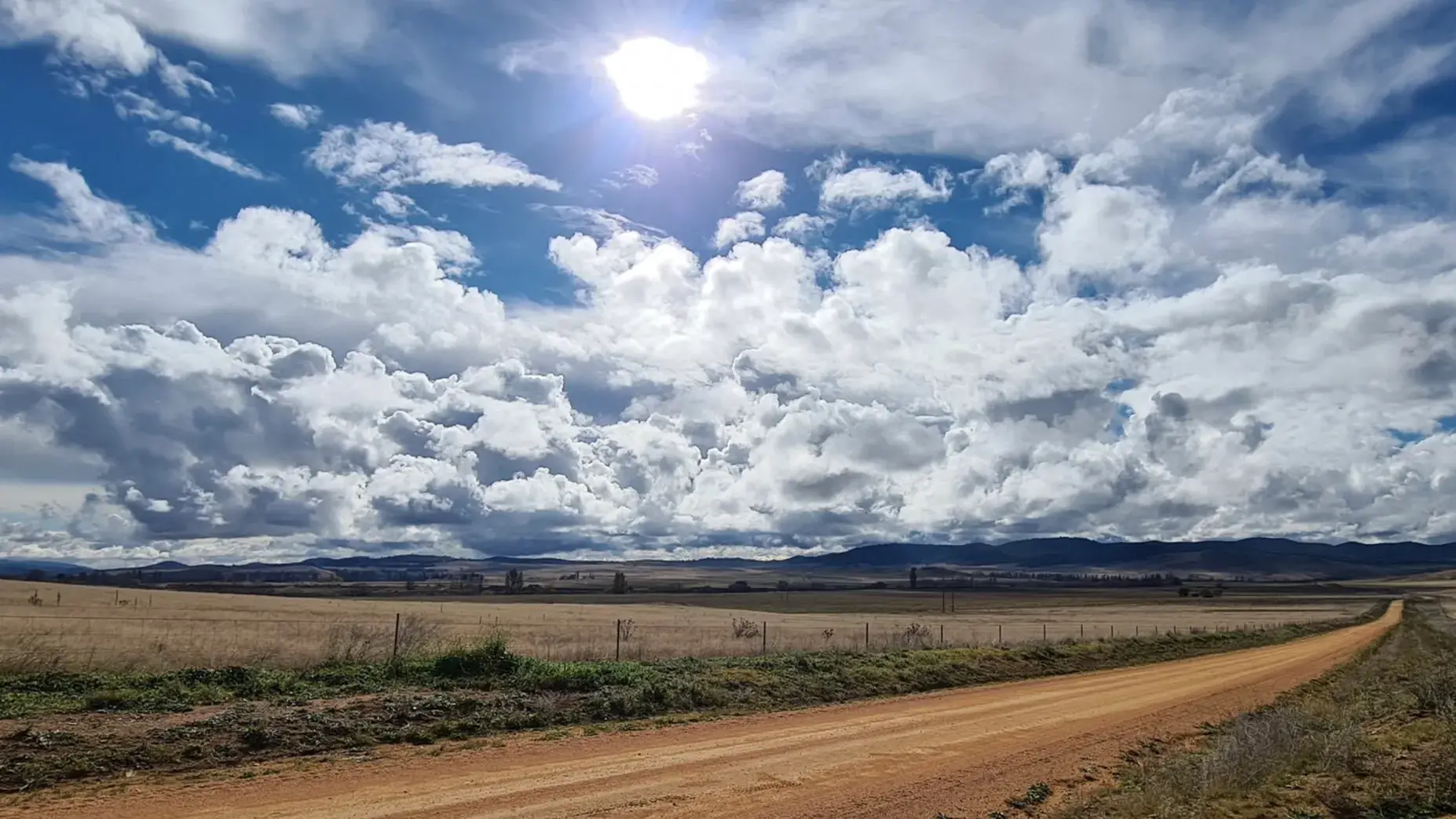 LAOKO volunteers have busy year