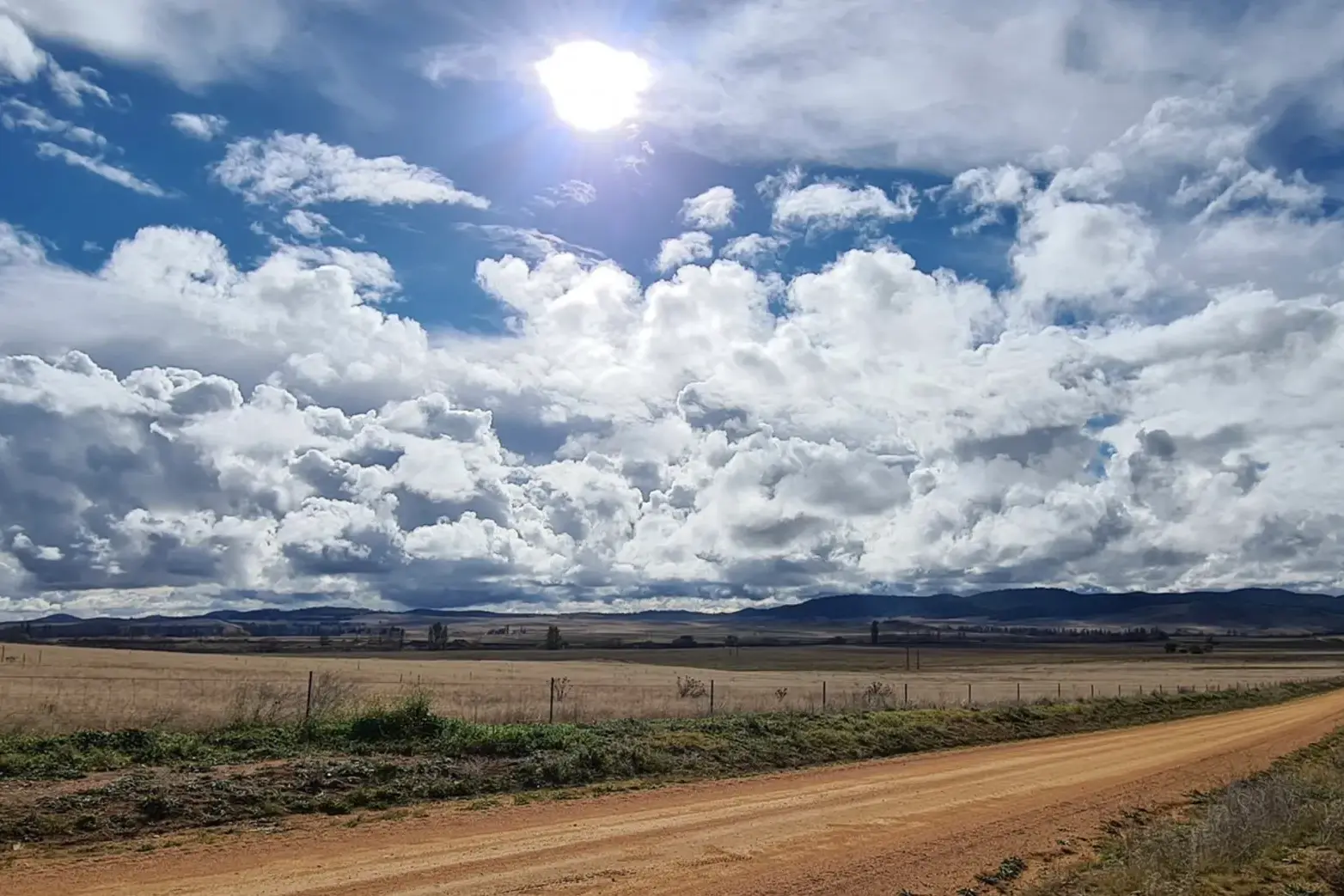 <p>WILDLIFE: LAOKO asks for specific location details to help better assist volunteers with wildlife rescue missions. PHOTO: Supplied</p>\\n