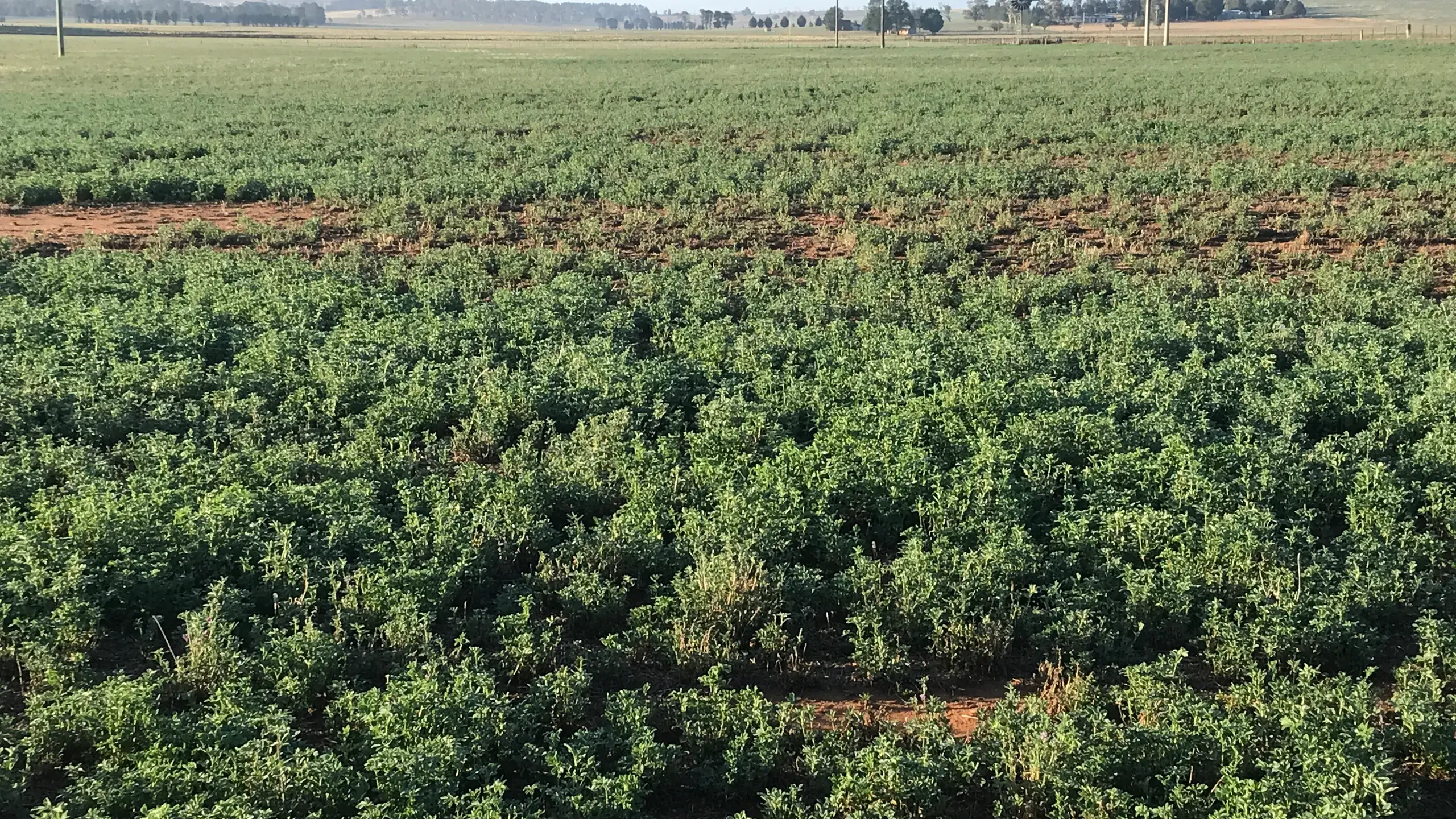 2025 rainfall data in the Snowy Monaro